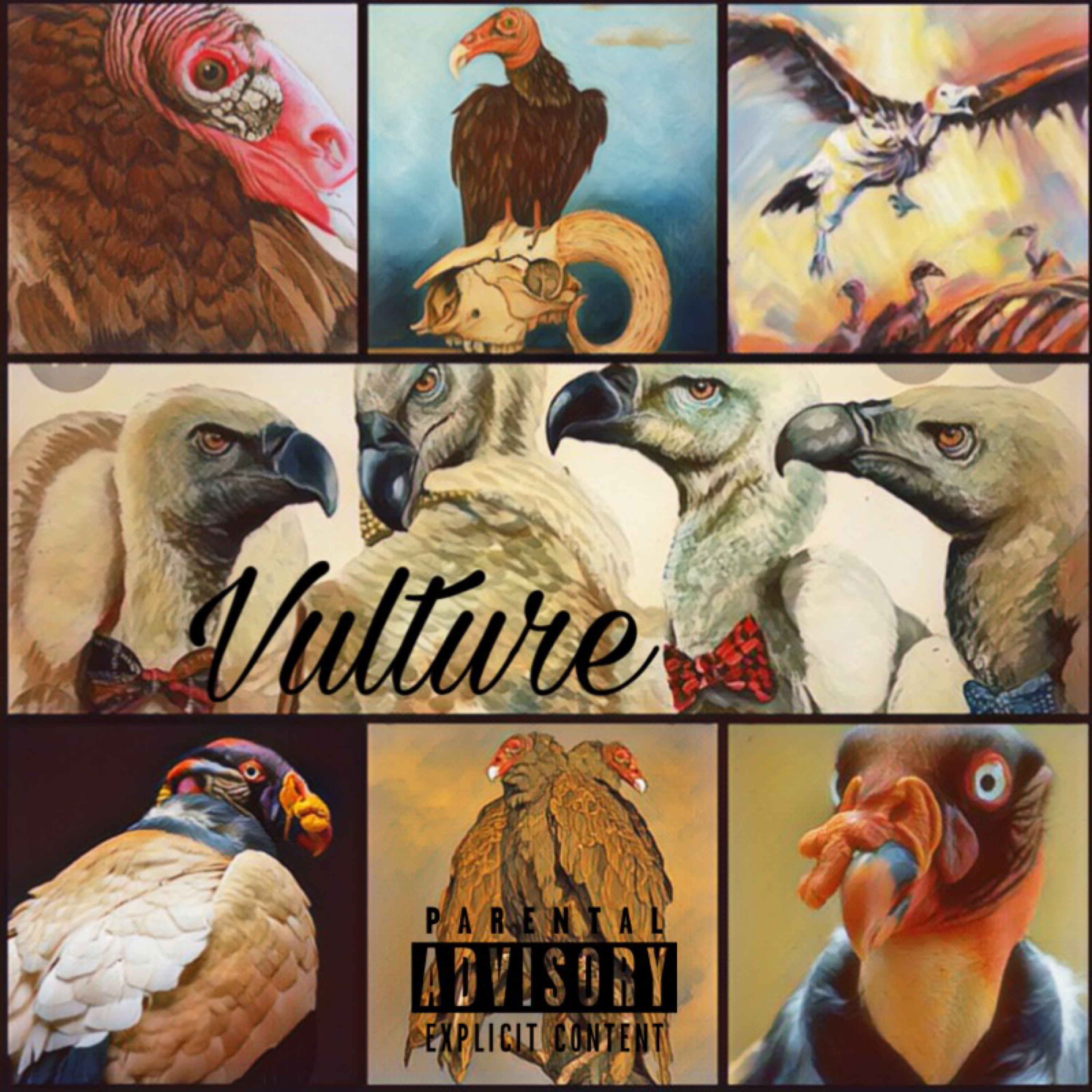 Vulture artwork