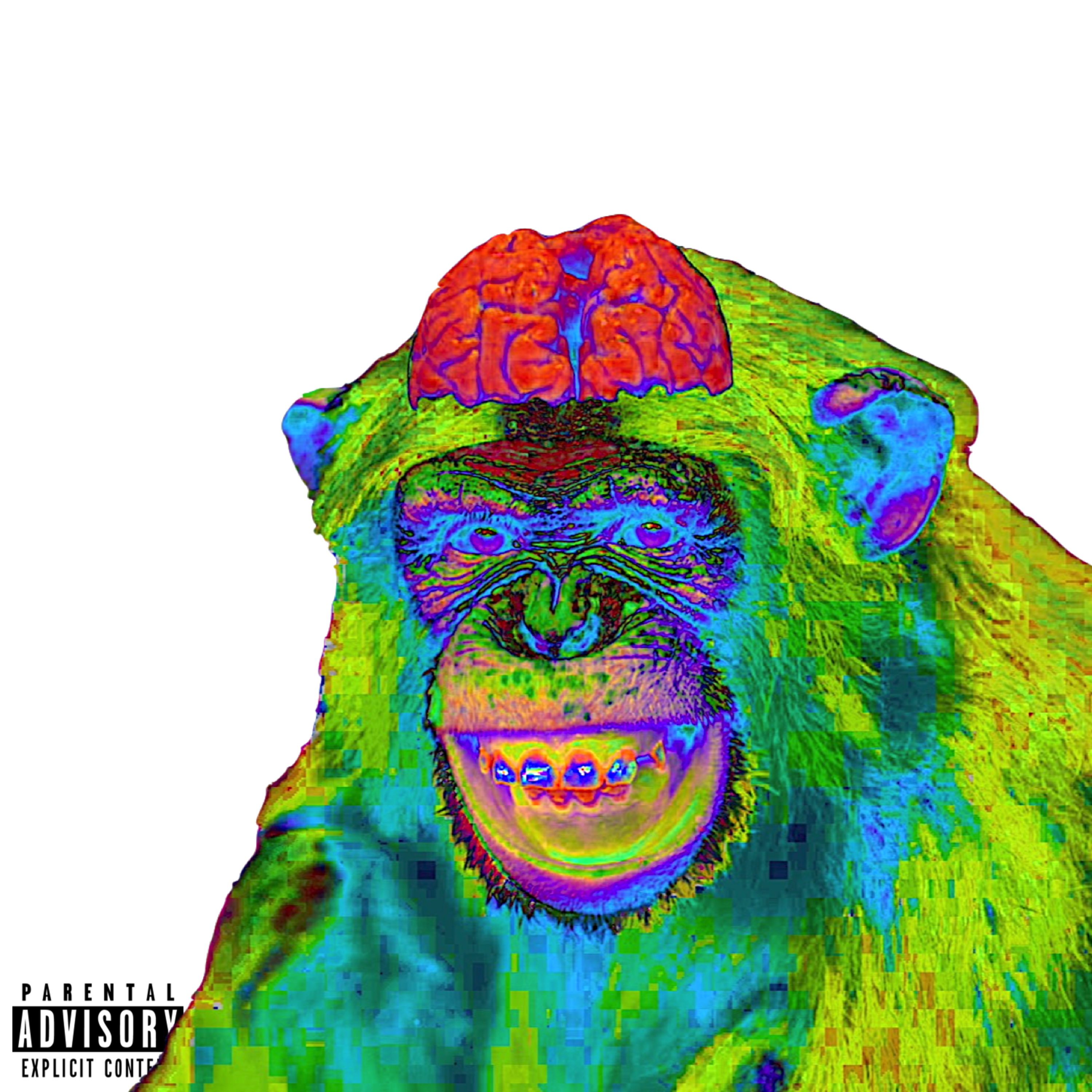Monkey Brains artwork