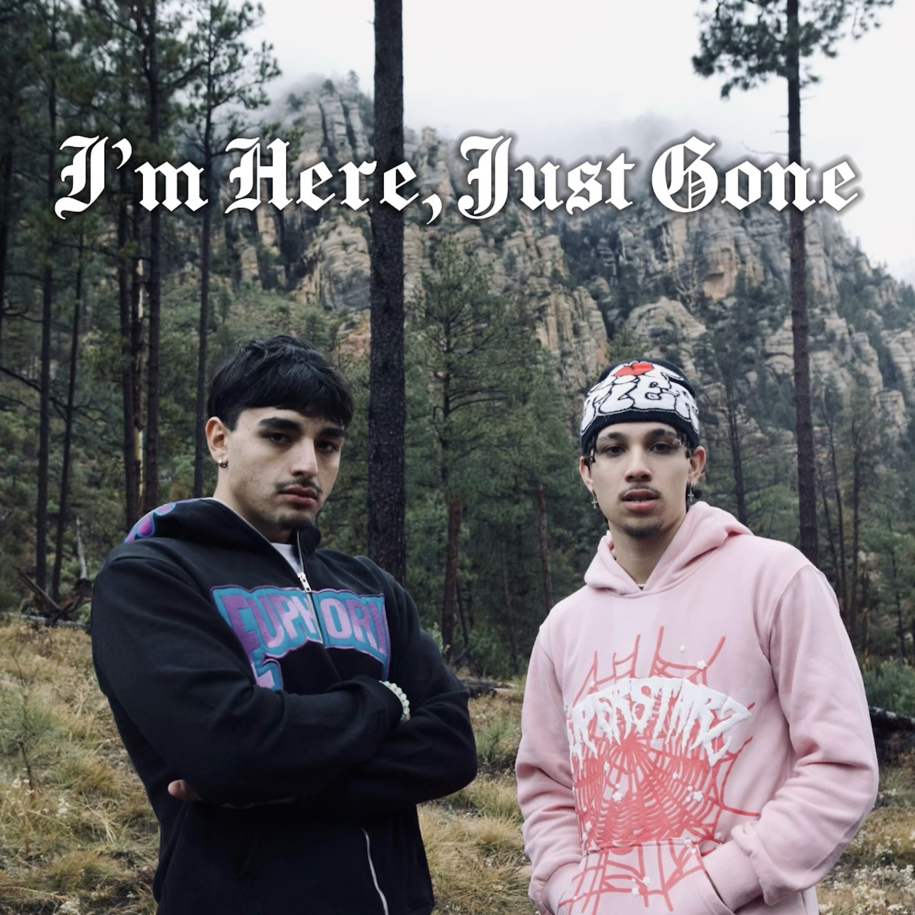 I'm Here, Just Gone artwork