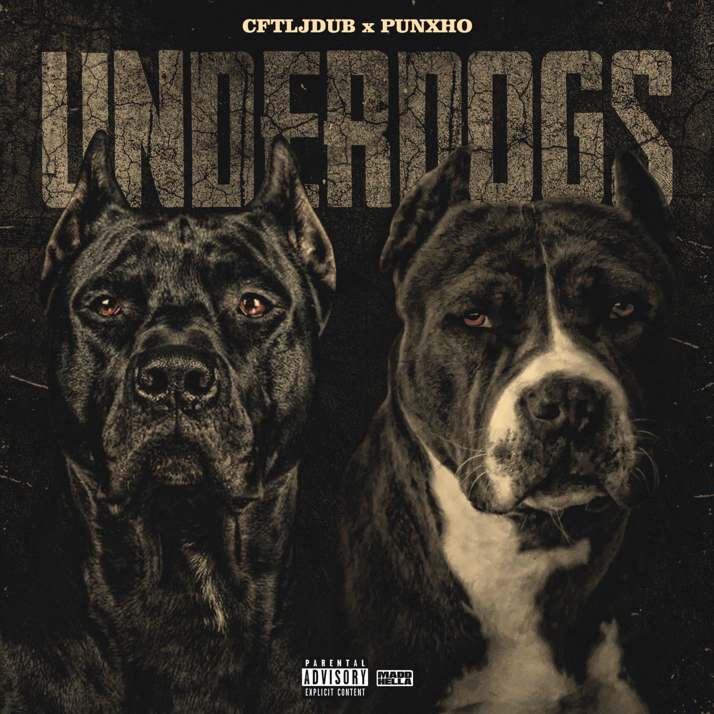 The Underdogs artwork