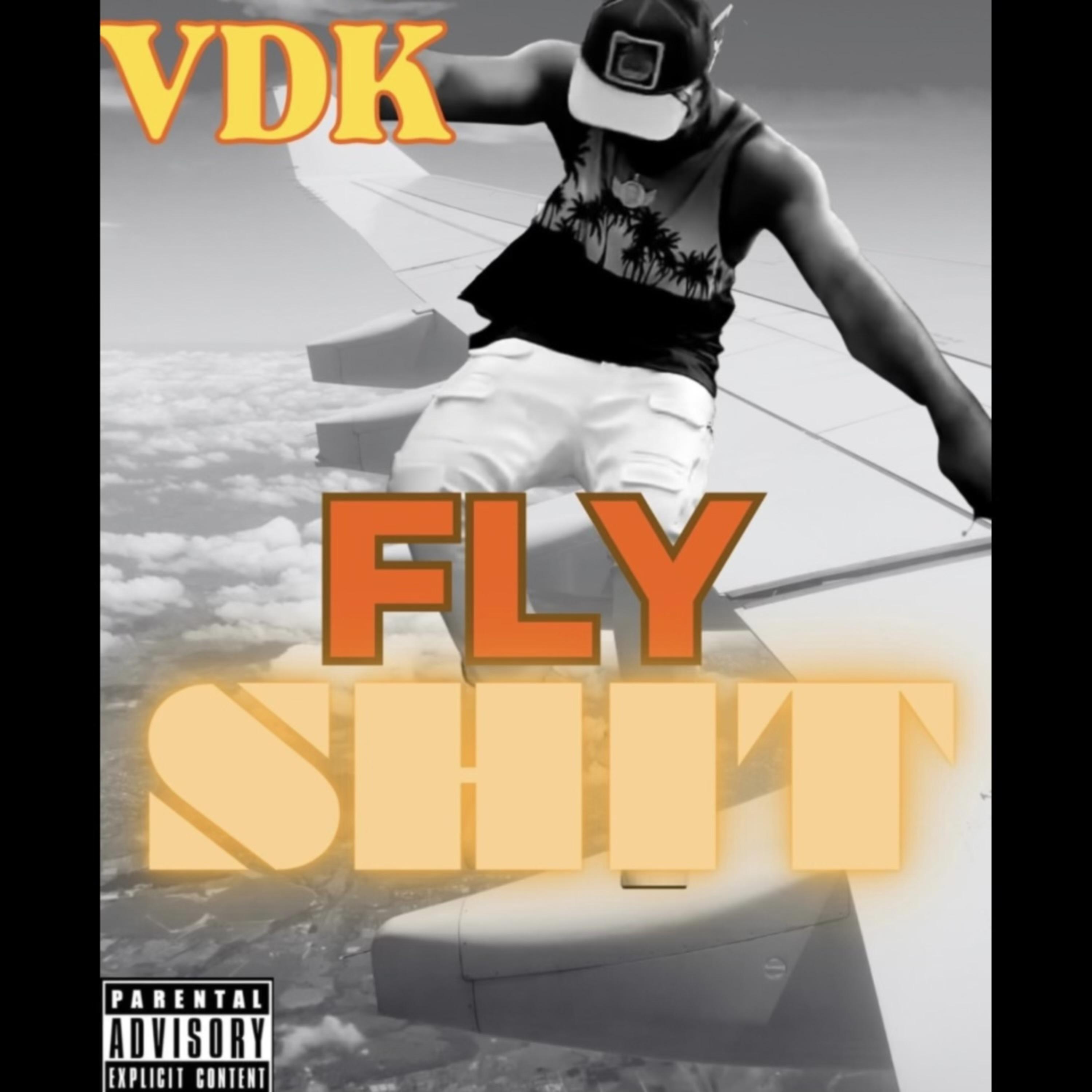FLY SHIT artwork