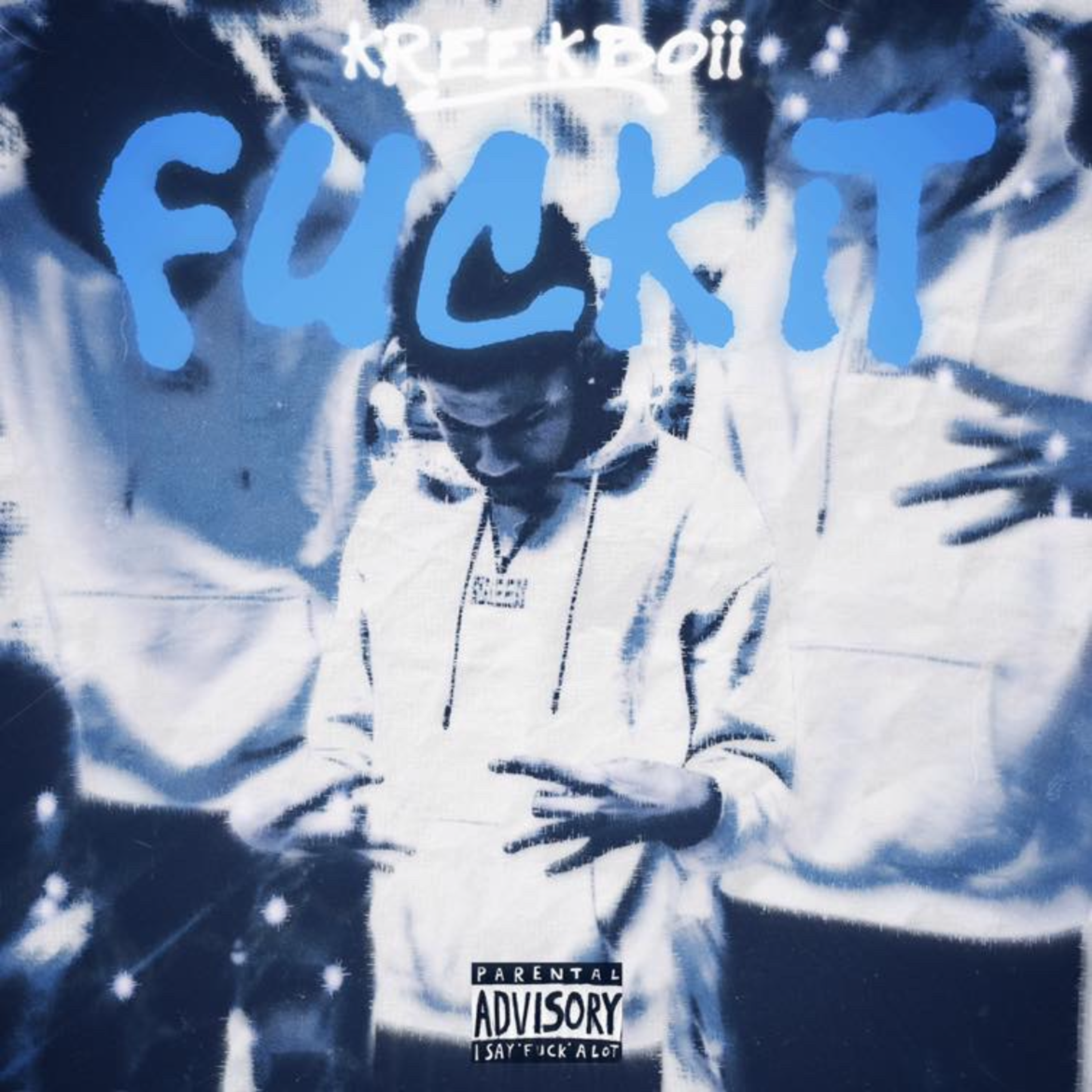 FUCK IT artwork
