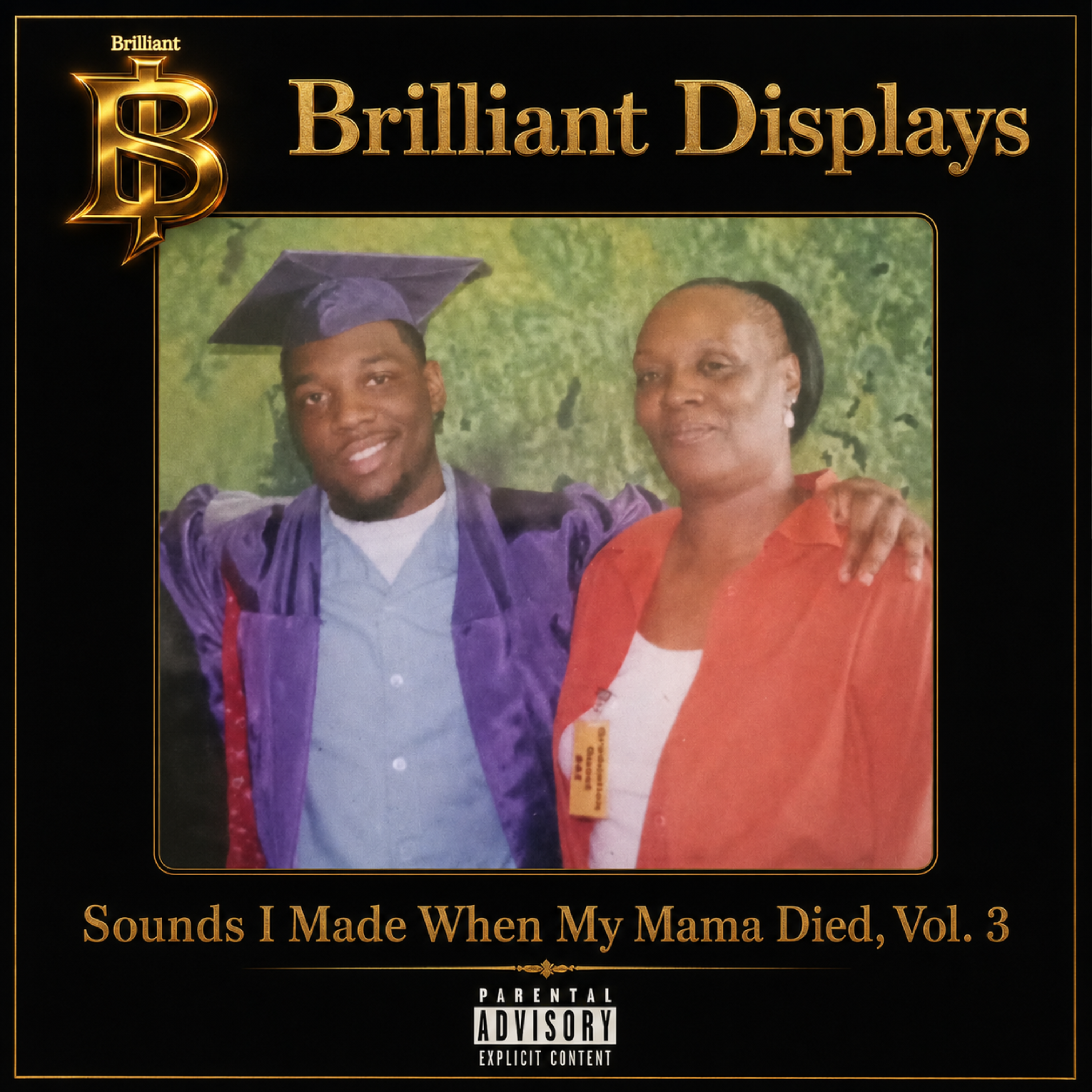 Sounds I Made When My Mama Died Volume 3 by Brilliant Displays cover art
