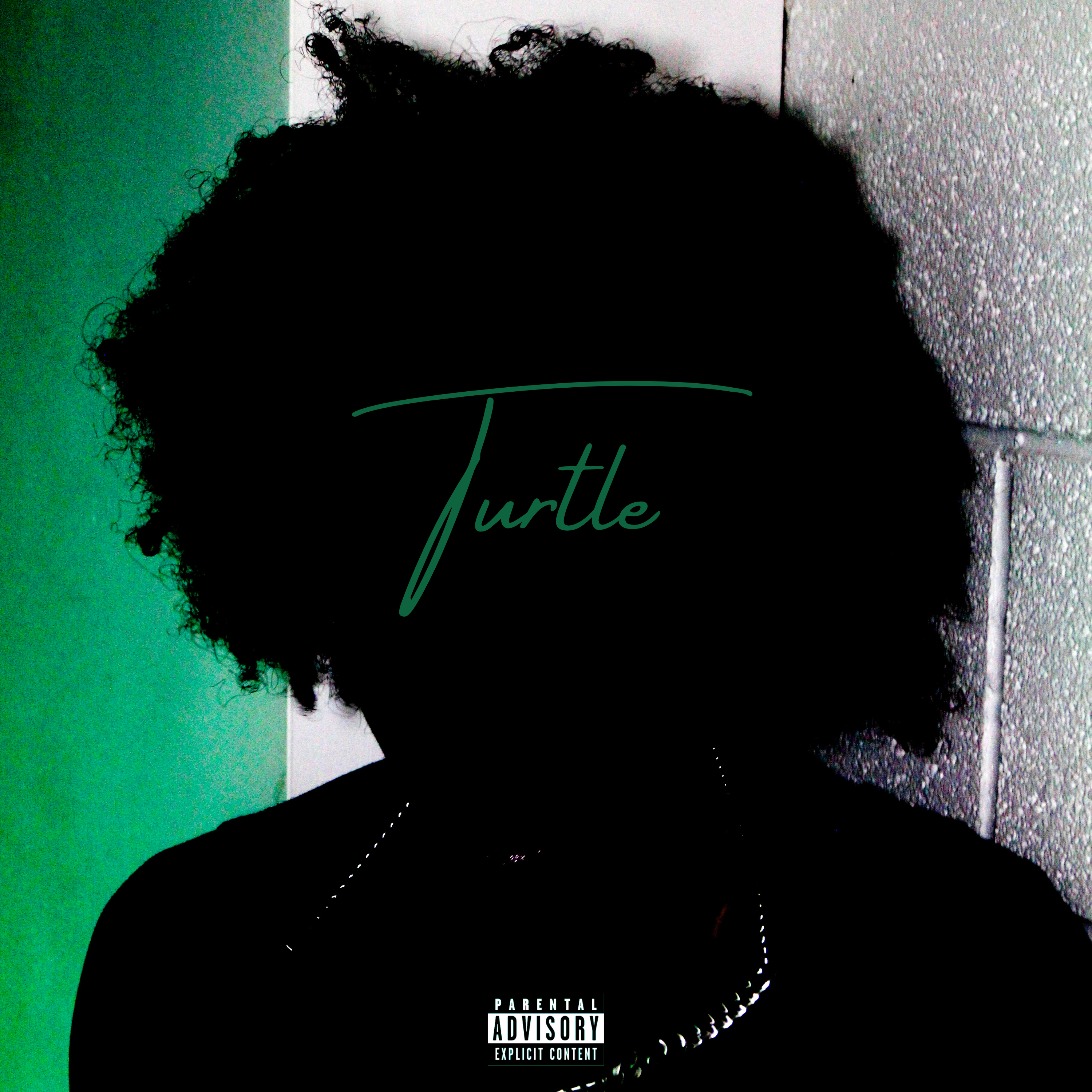 Turtle artwork