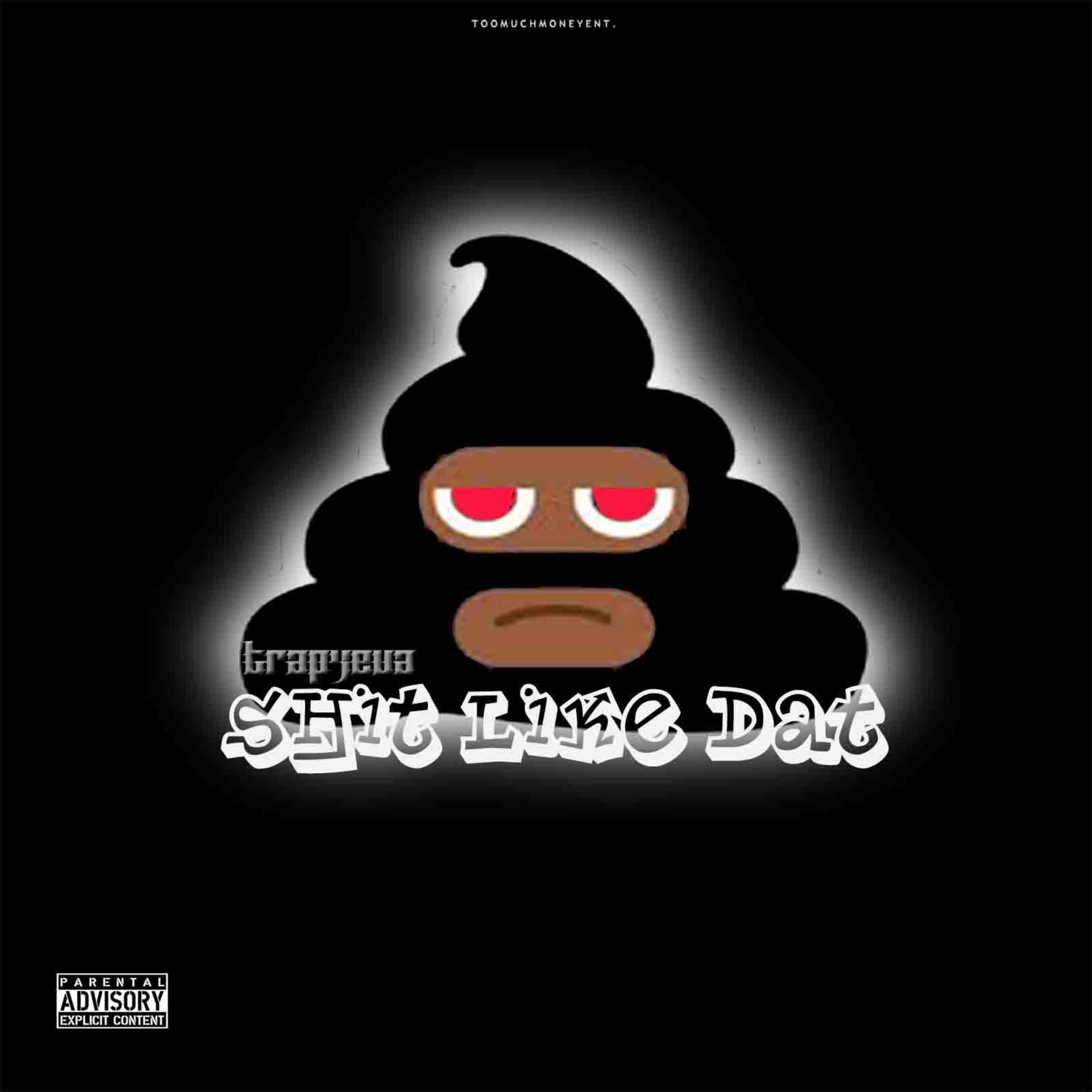 ShitLikeDat artwork