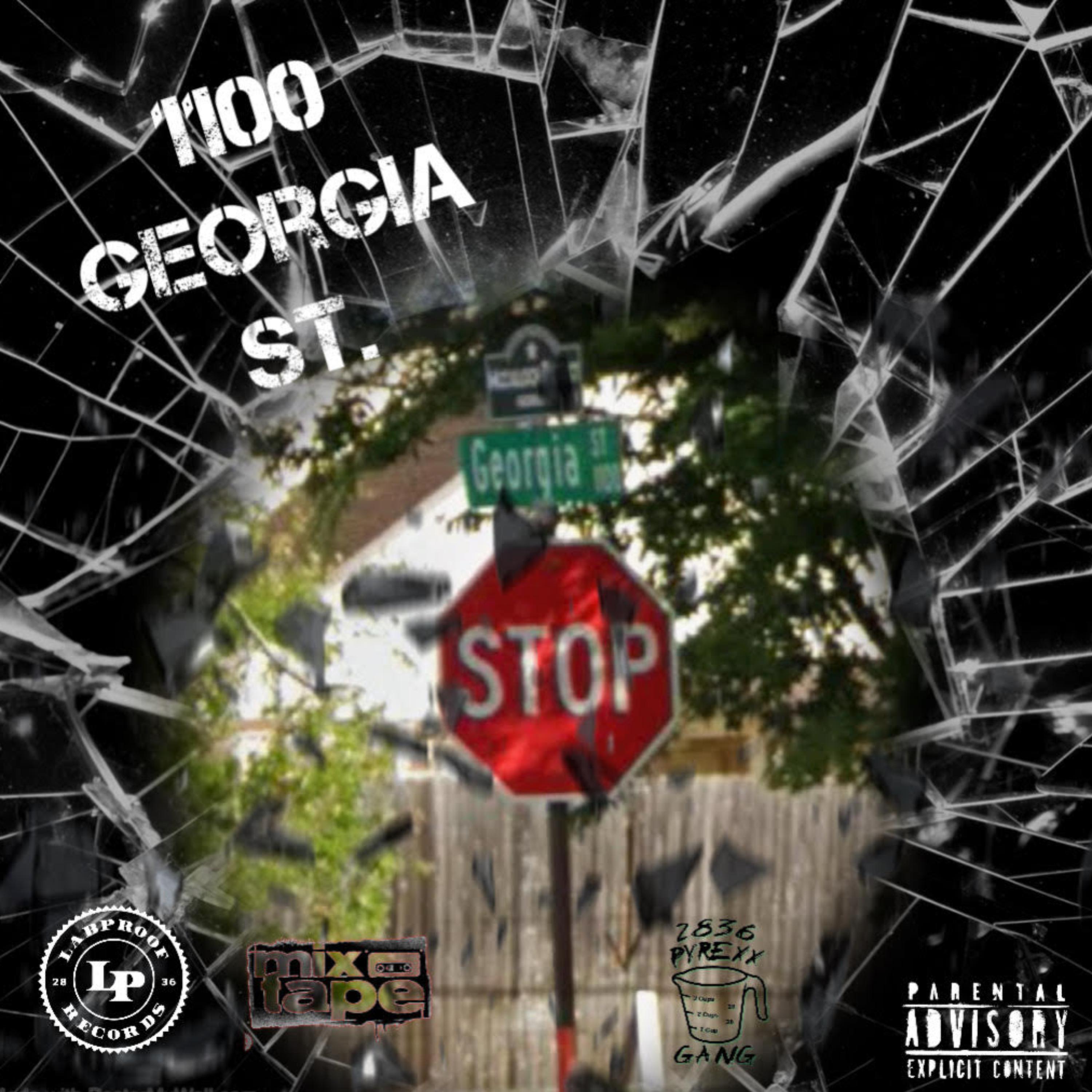 1100 Georgia St. by Sam Squee cover art