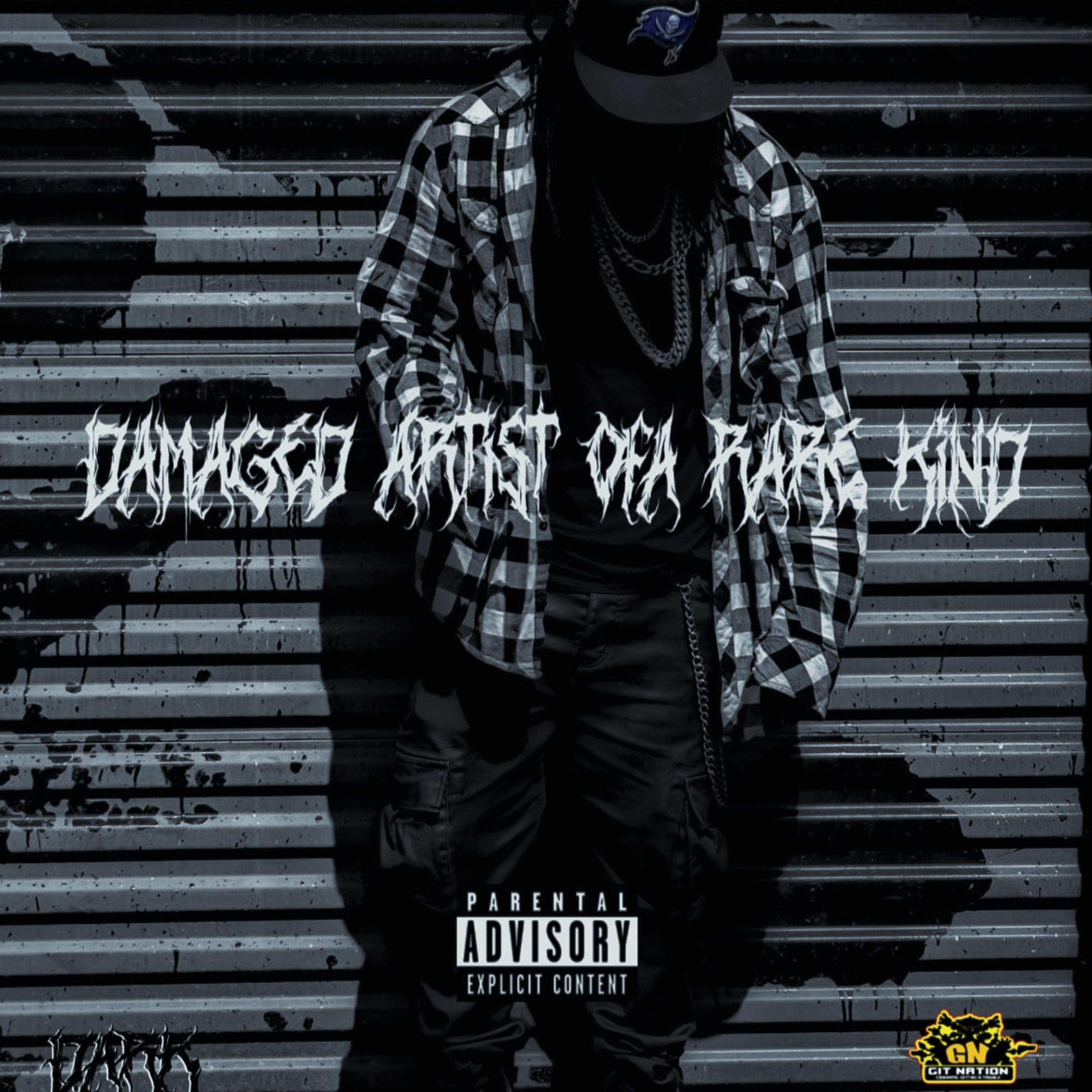 Damaged Artist Ofa Rare Kind by OEZ cover art
