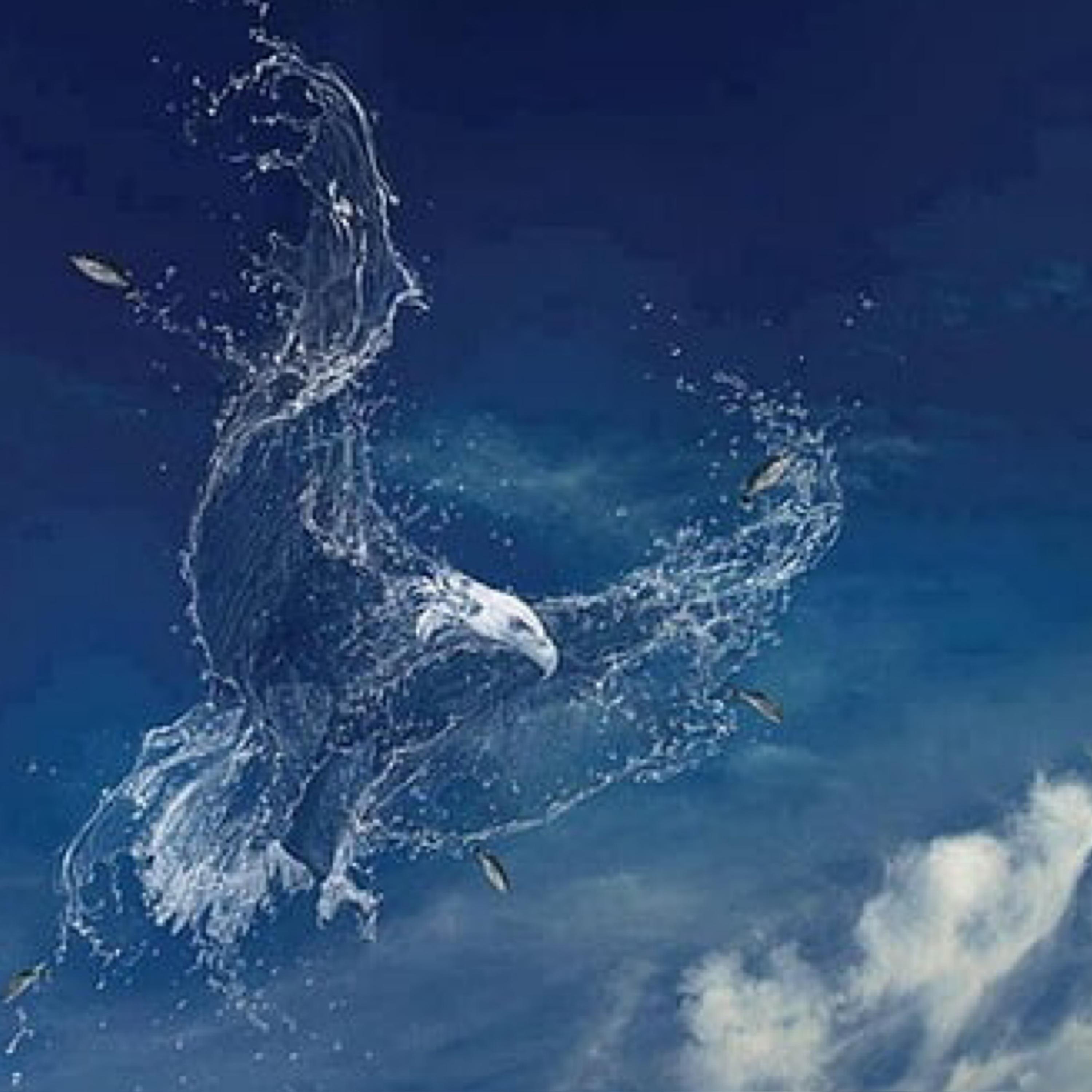 Eagles artwork