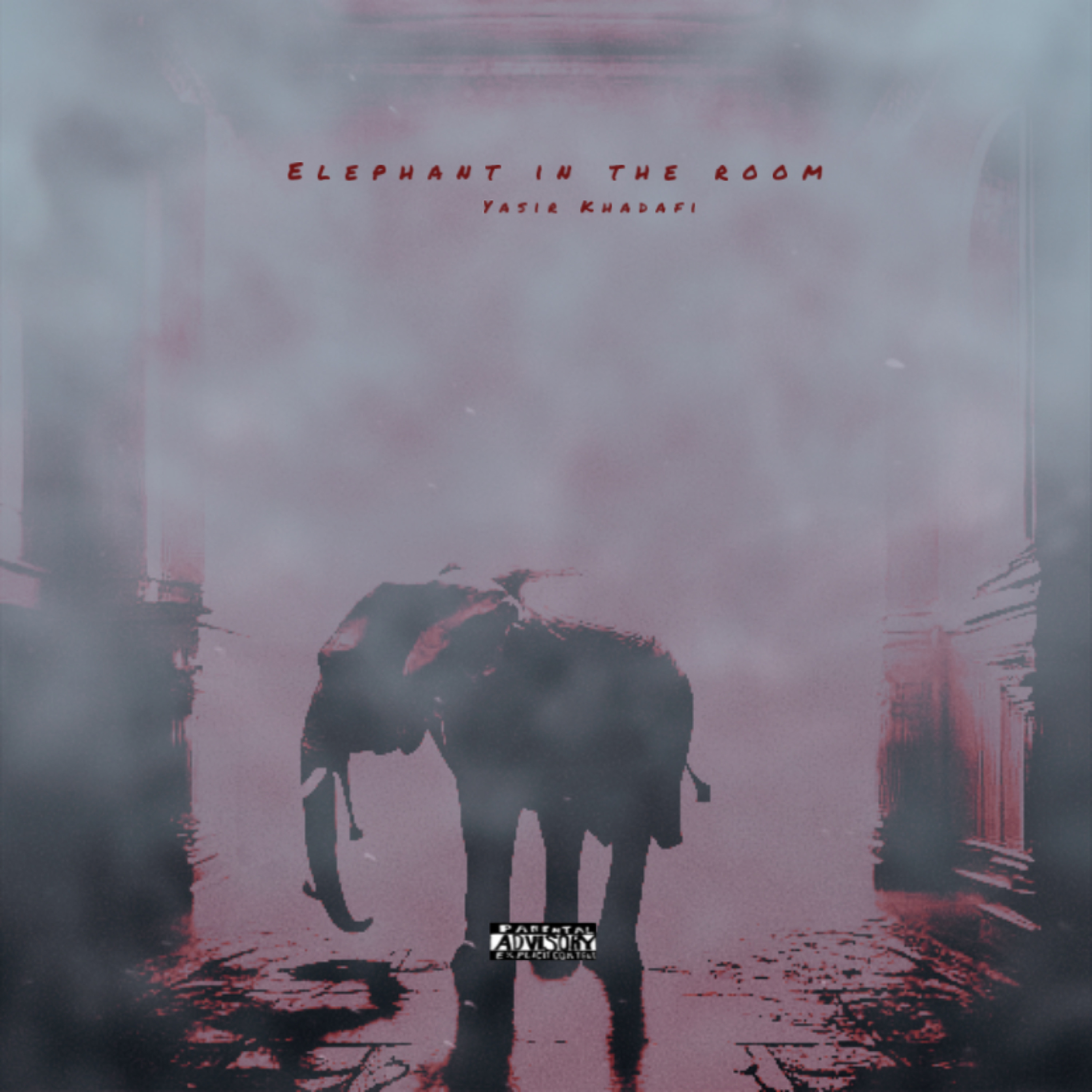 Elephant In The Room artwork