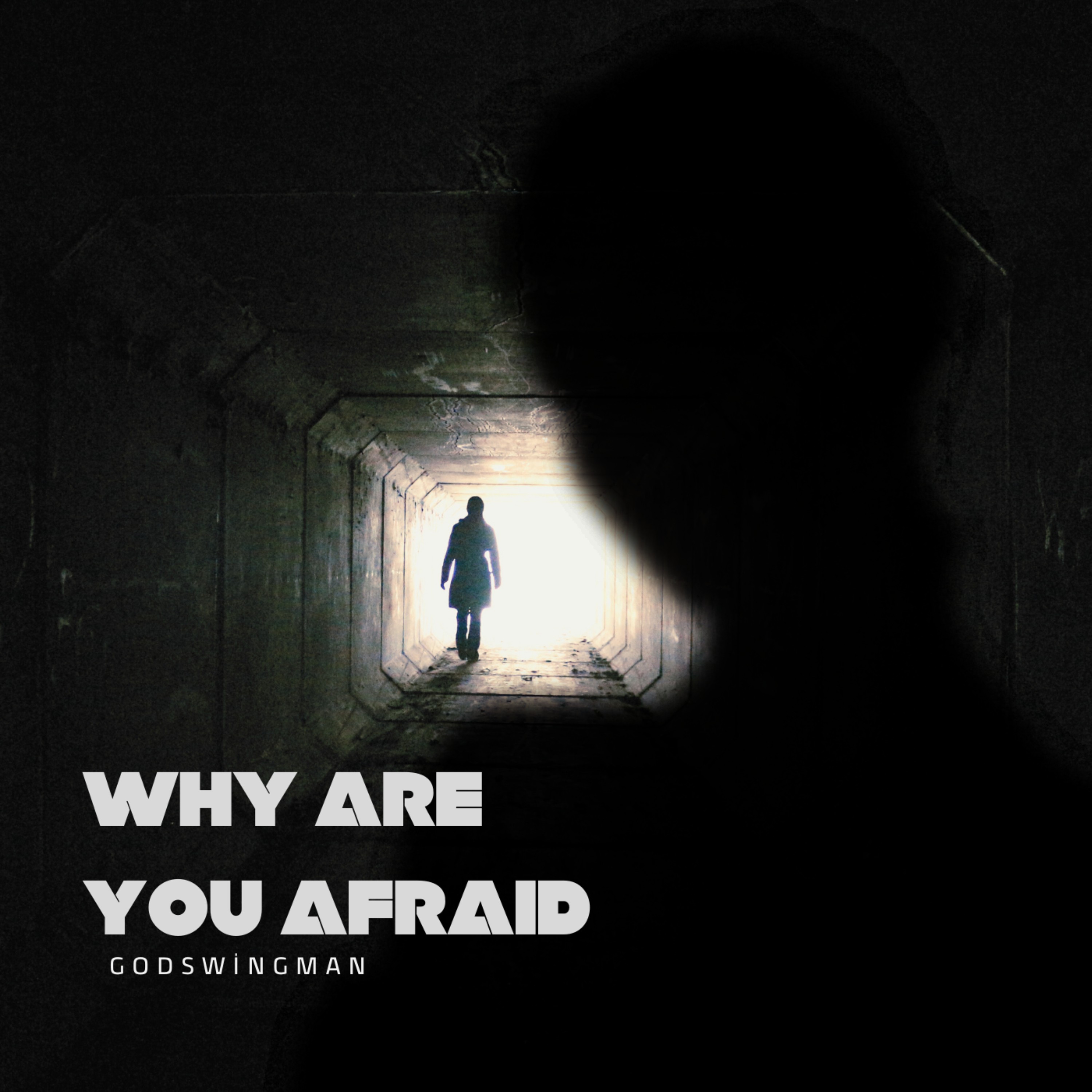 WHY ARE YOU AFRAID artwork