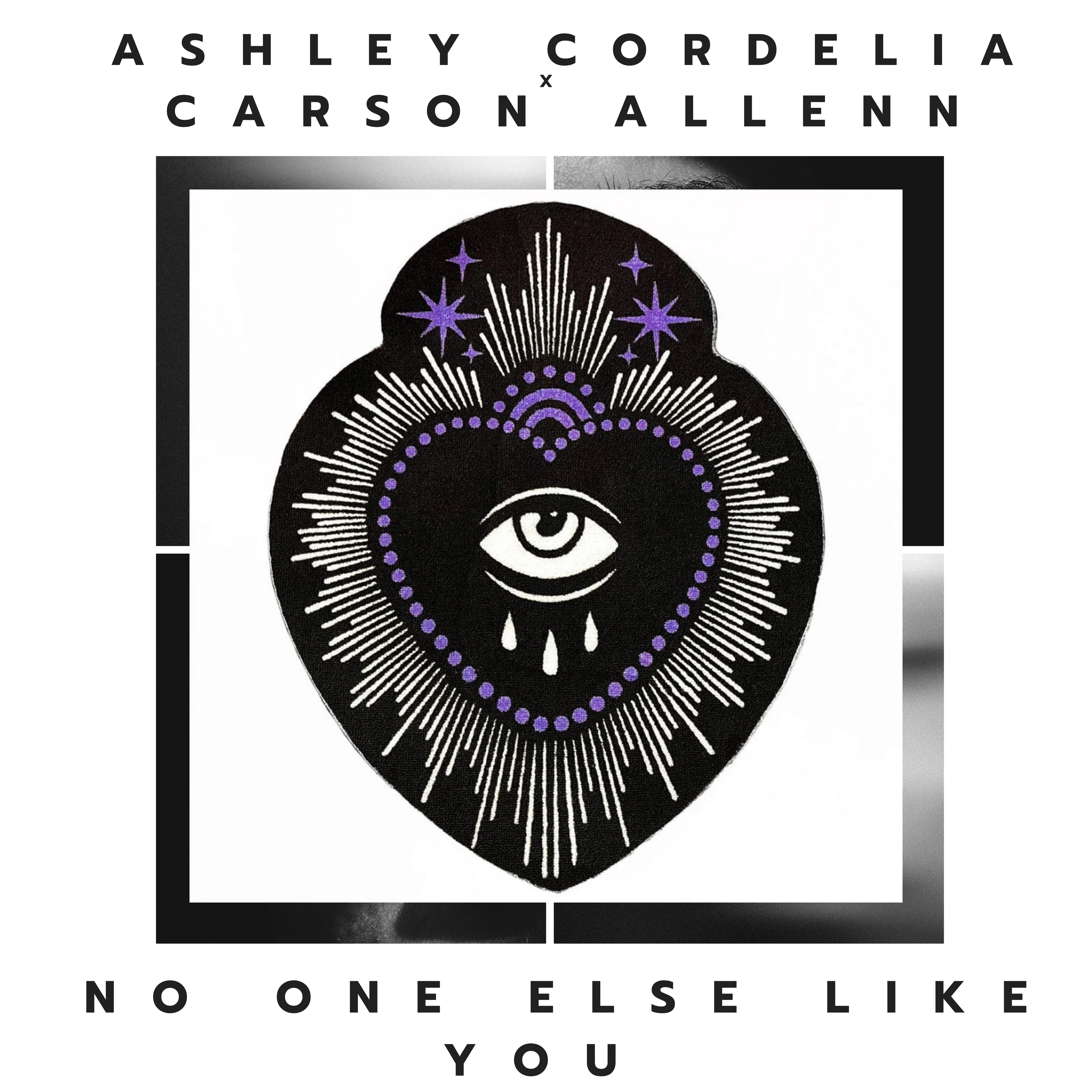 no one else like you by Ashley Cordelia cover art