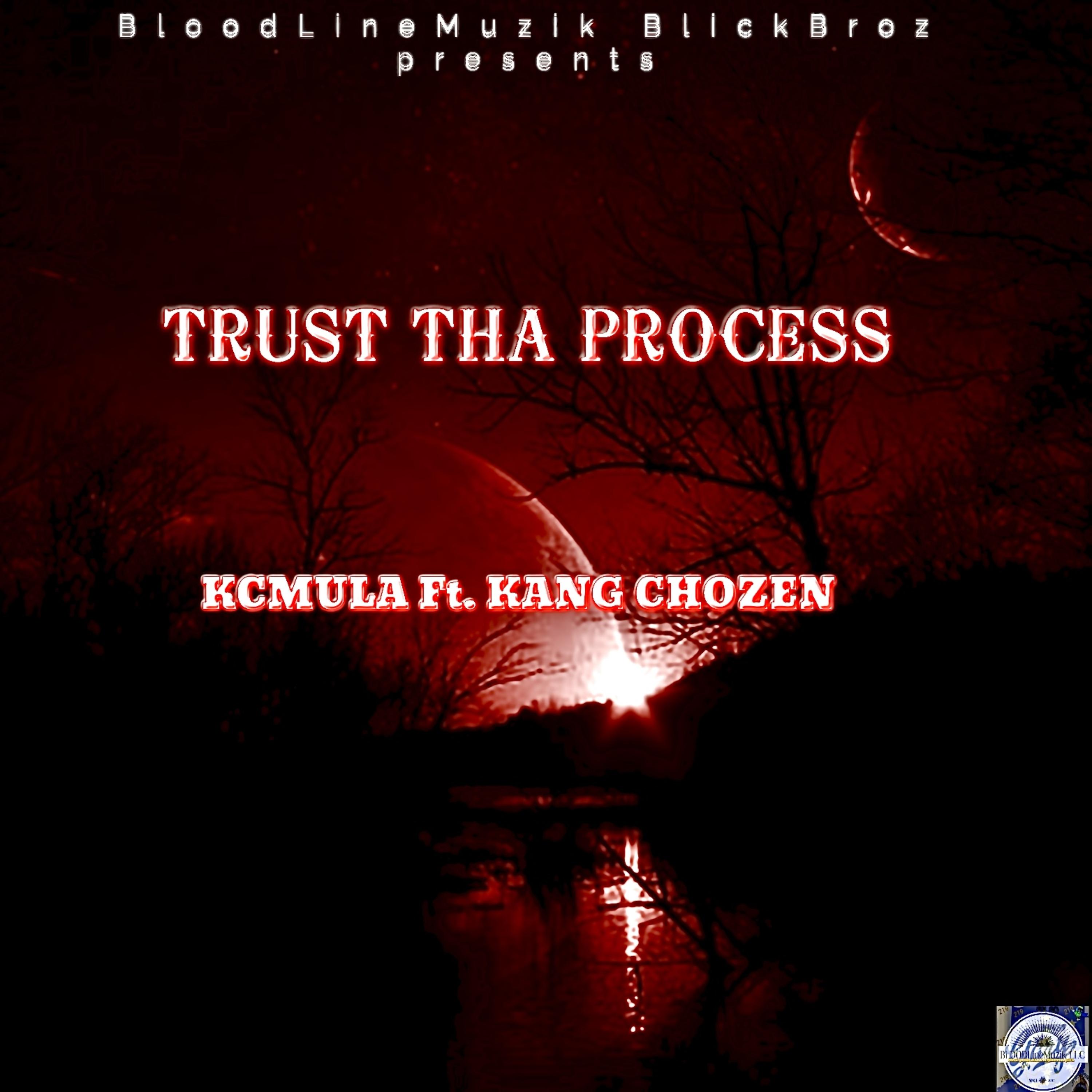 TRUST THA PROCESS by Kang Chozen cover art