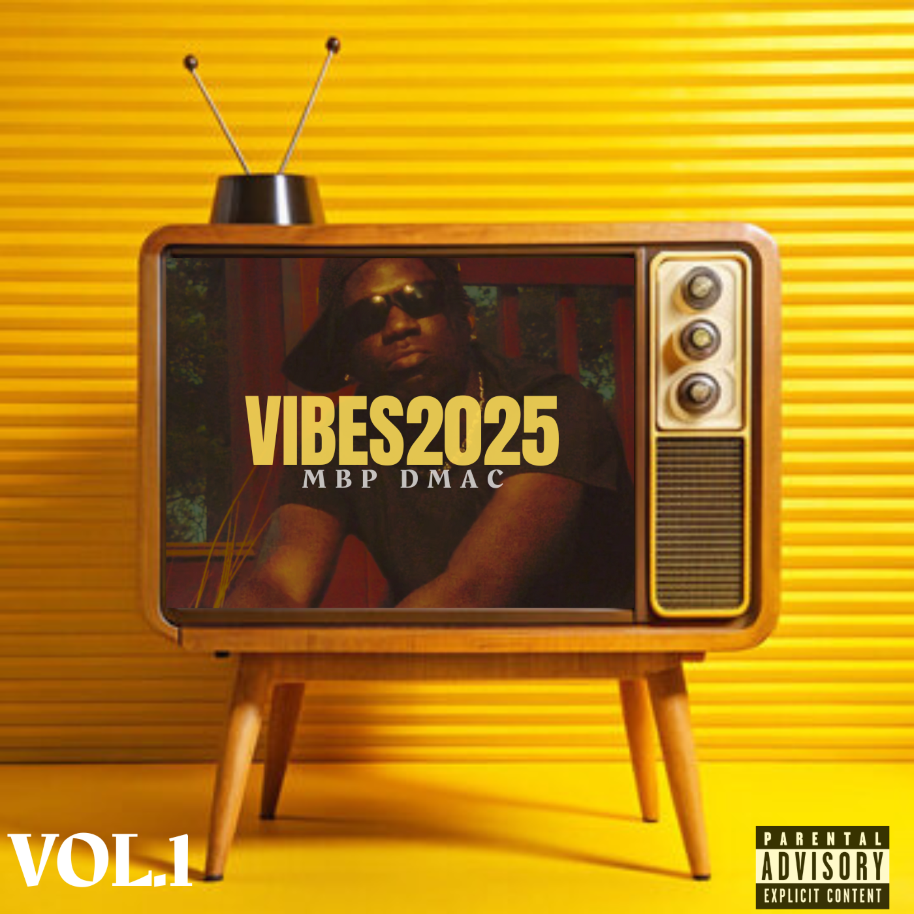 VIBES2025 artwork