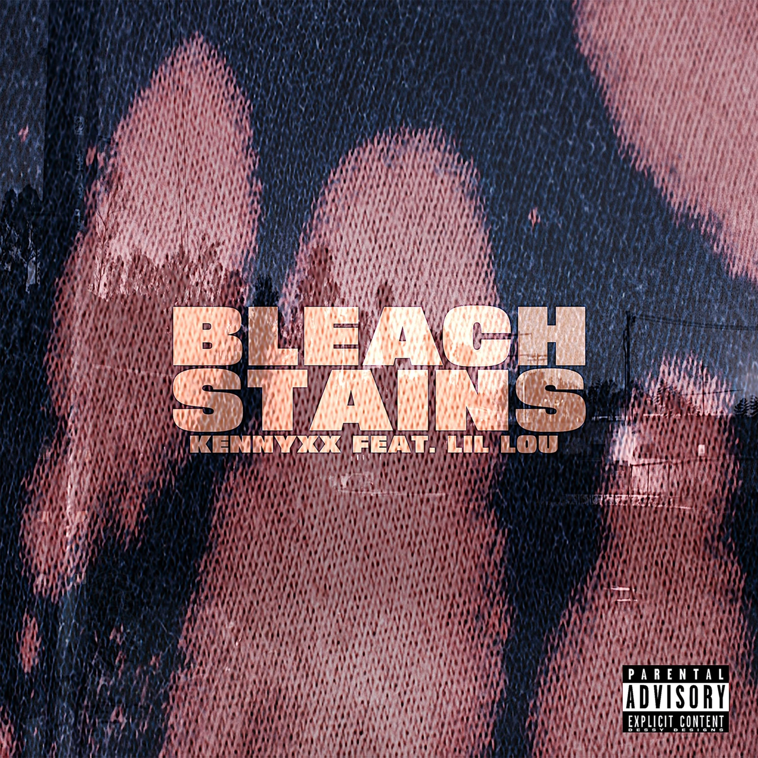 Bleach Stains artwork
