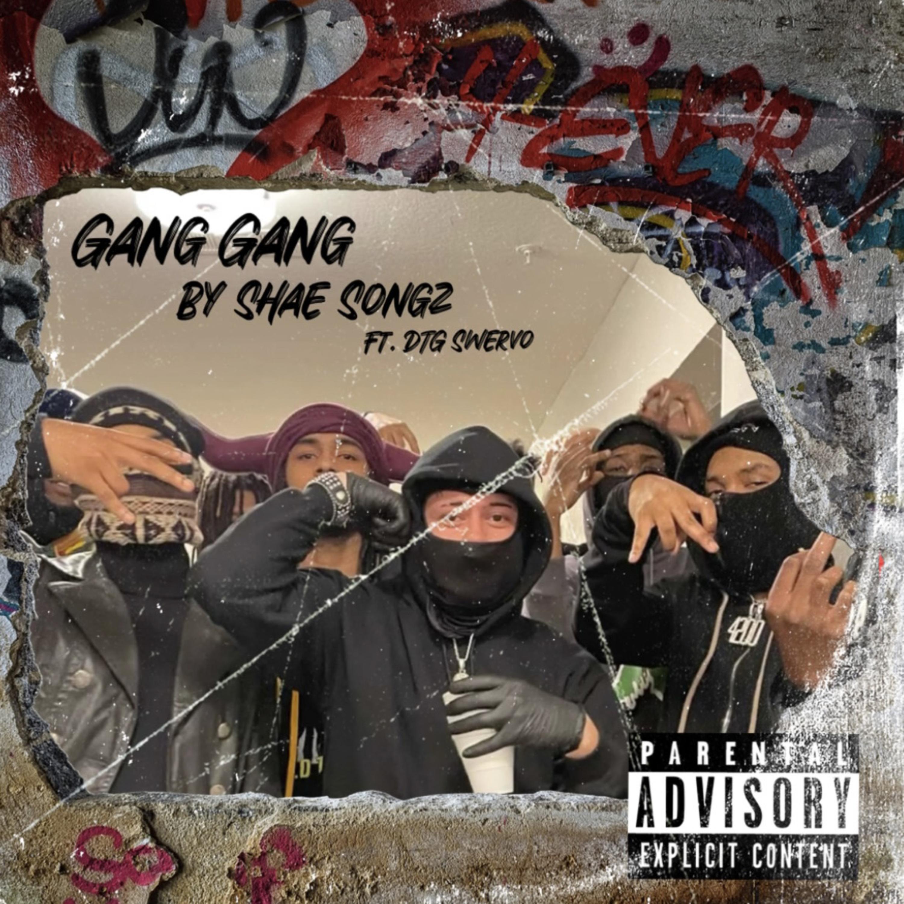 GANG GANG by HOLY SHAE cover art