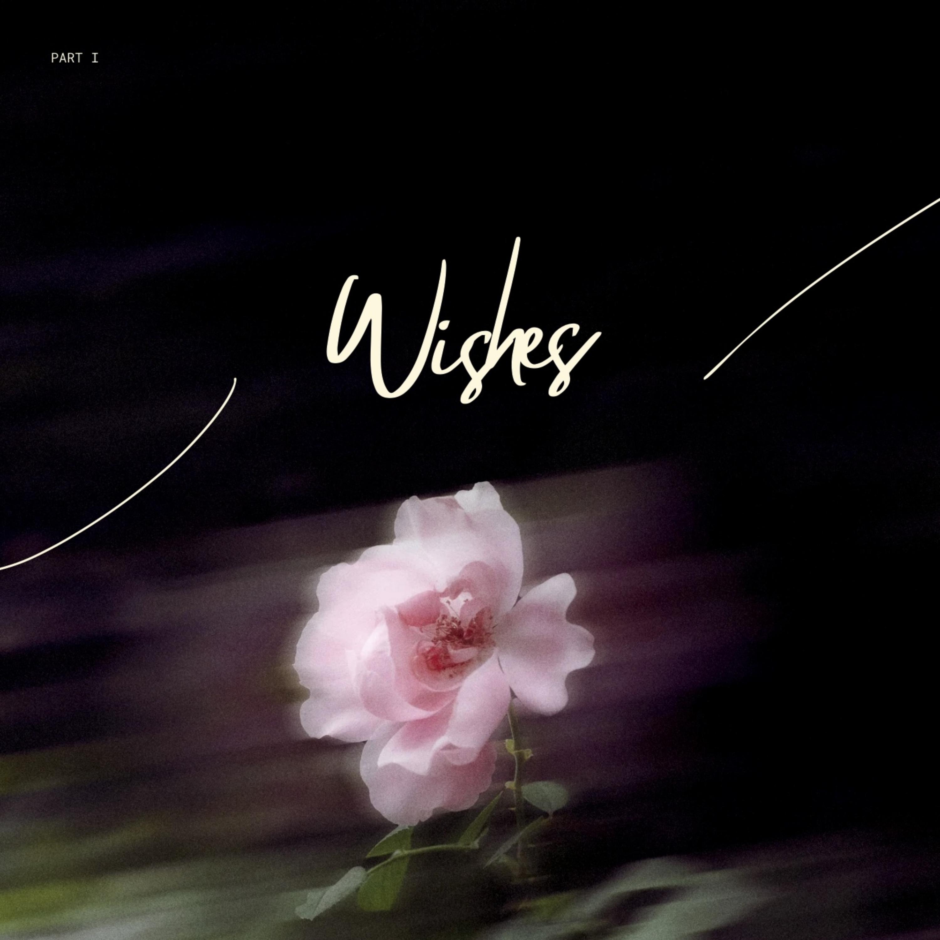 Wishes artwork