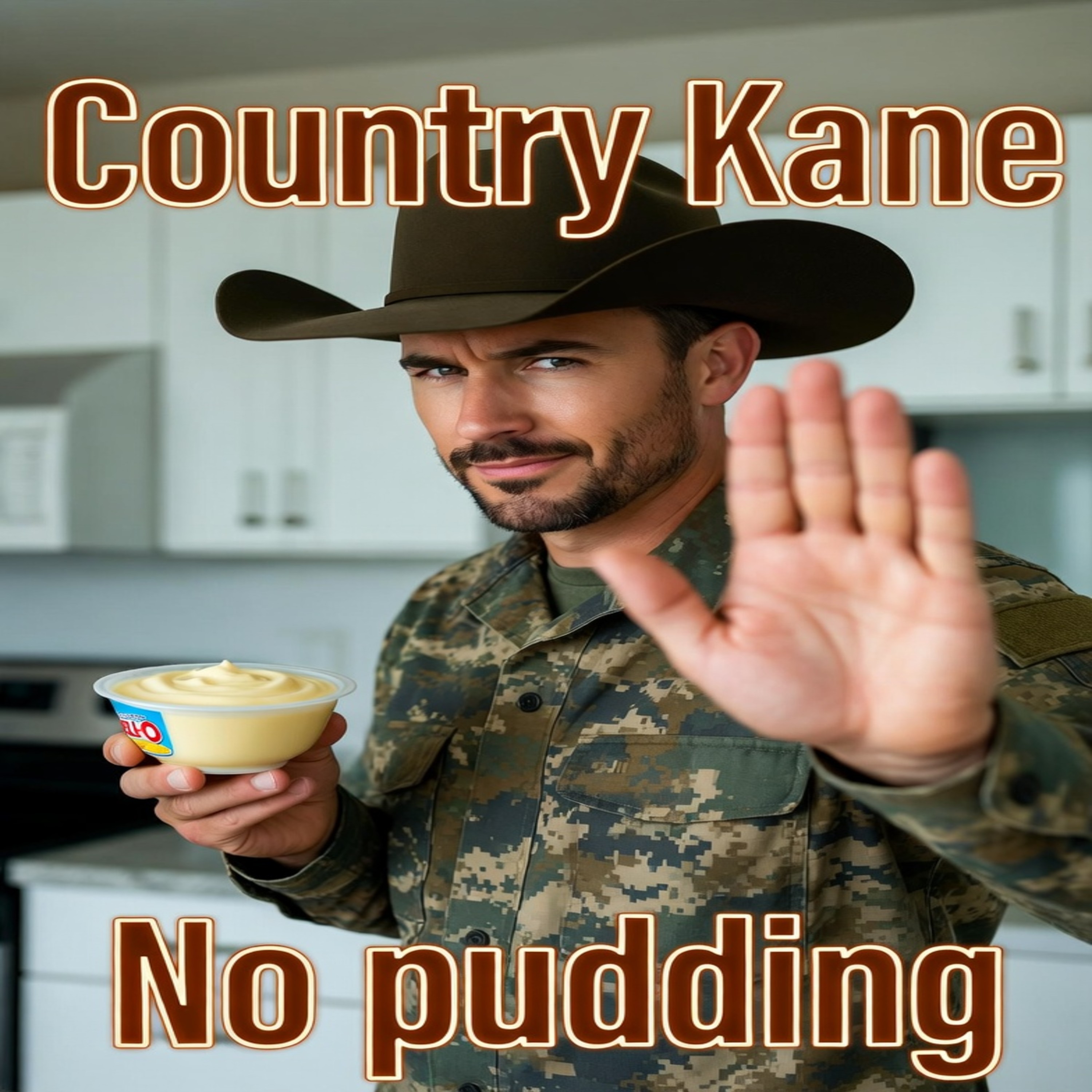 No pudding artwork