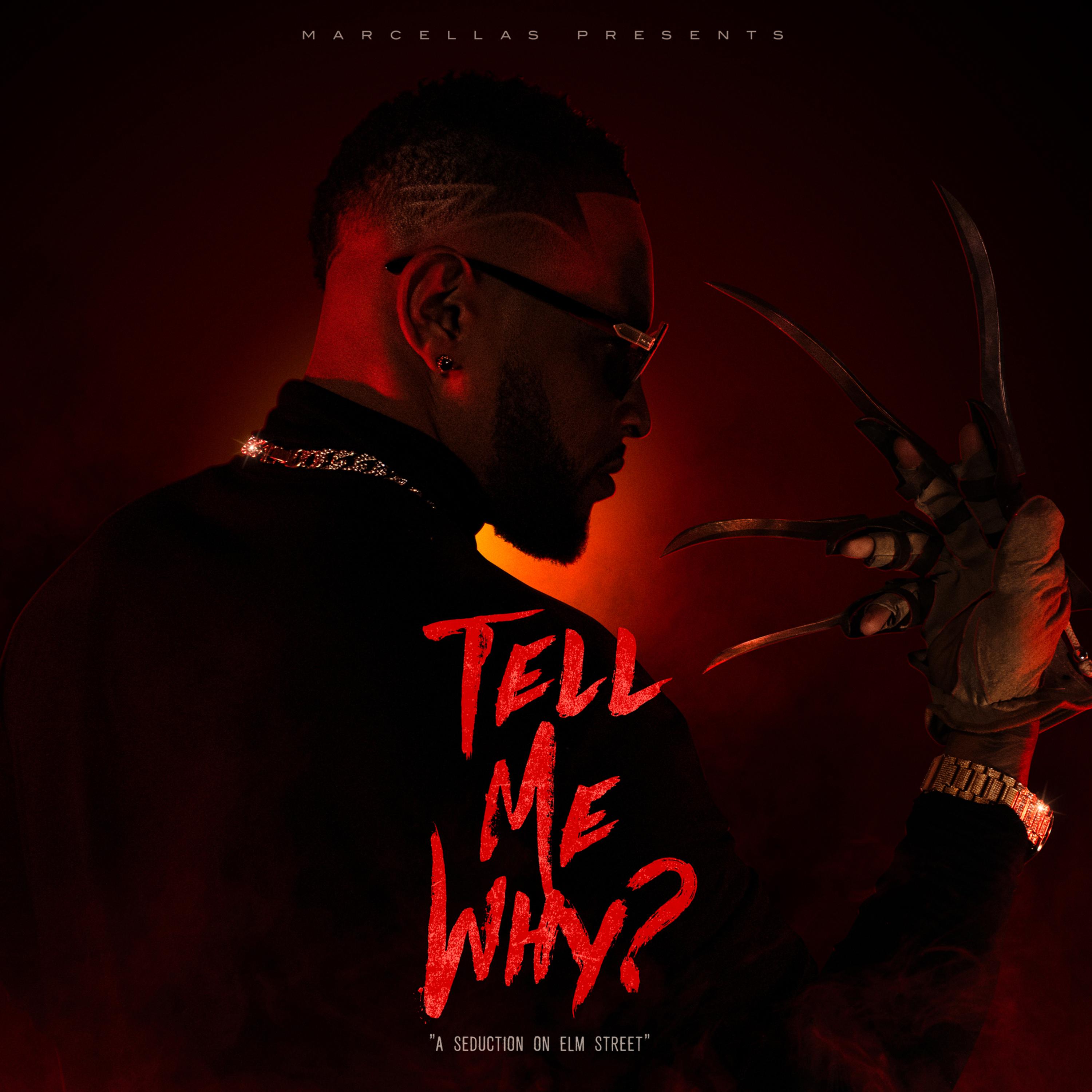 Tell Me Why artwork