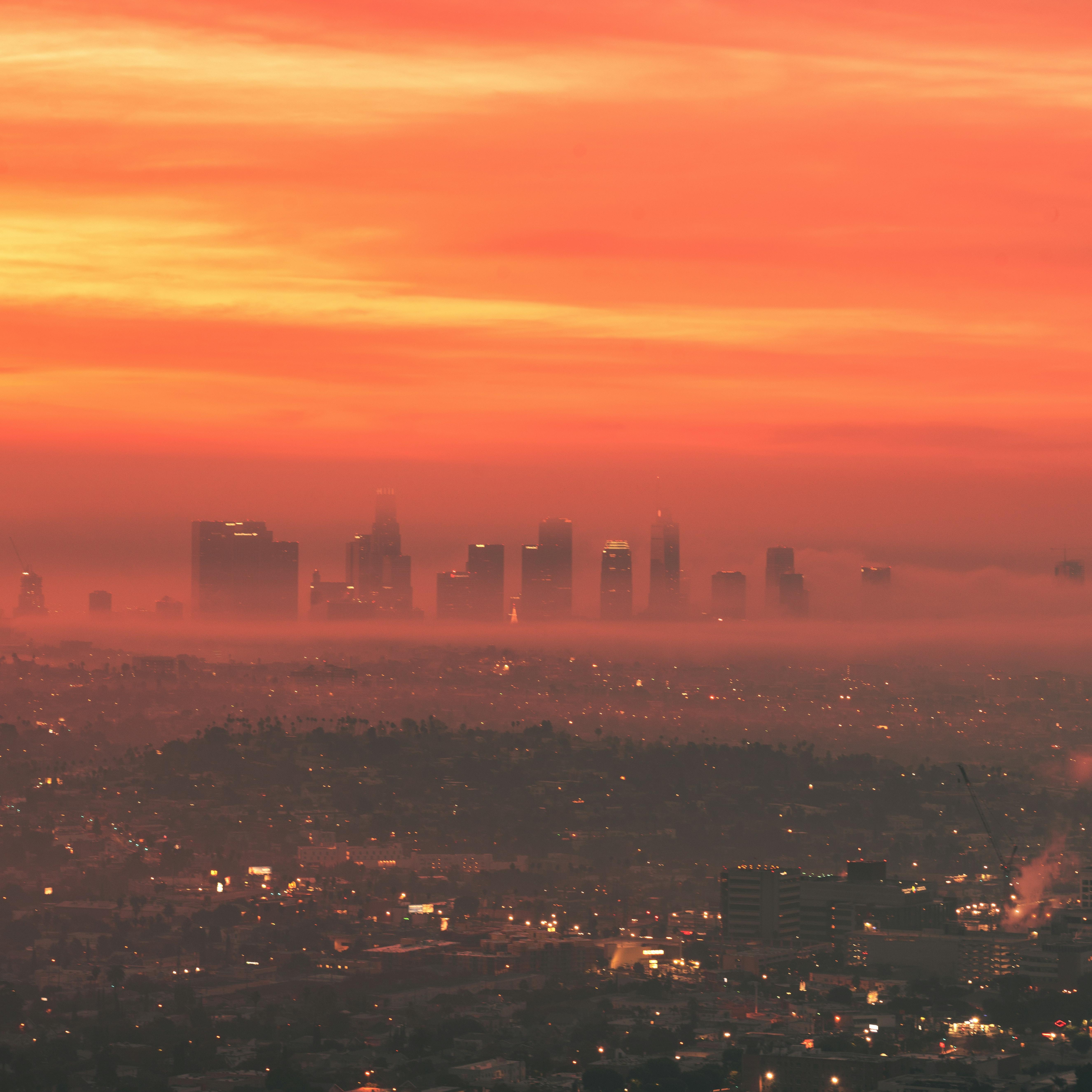 LA 2024 by Domanic Rincones cover art