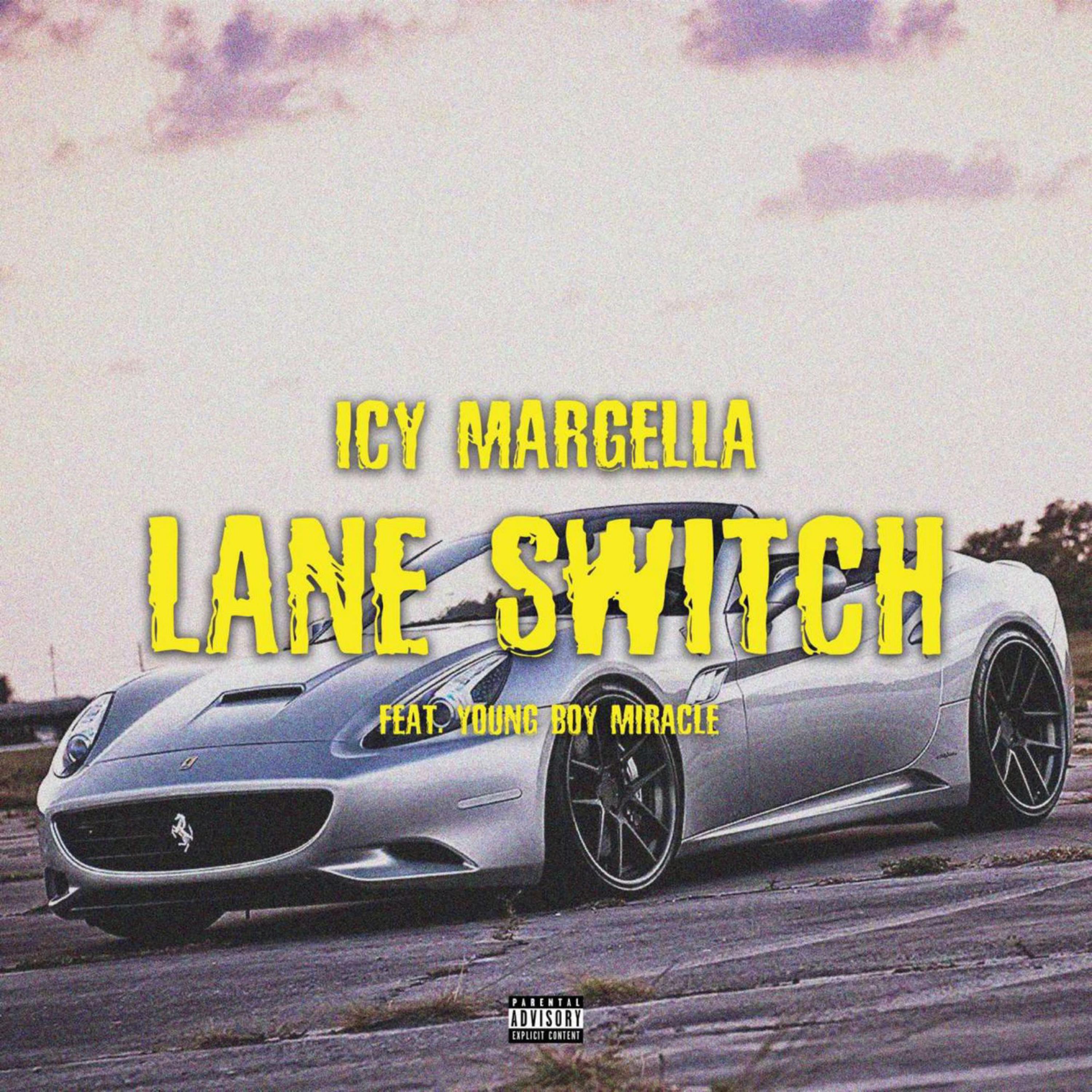 LANE SWITCH artwork