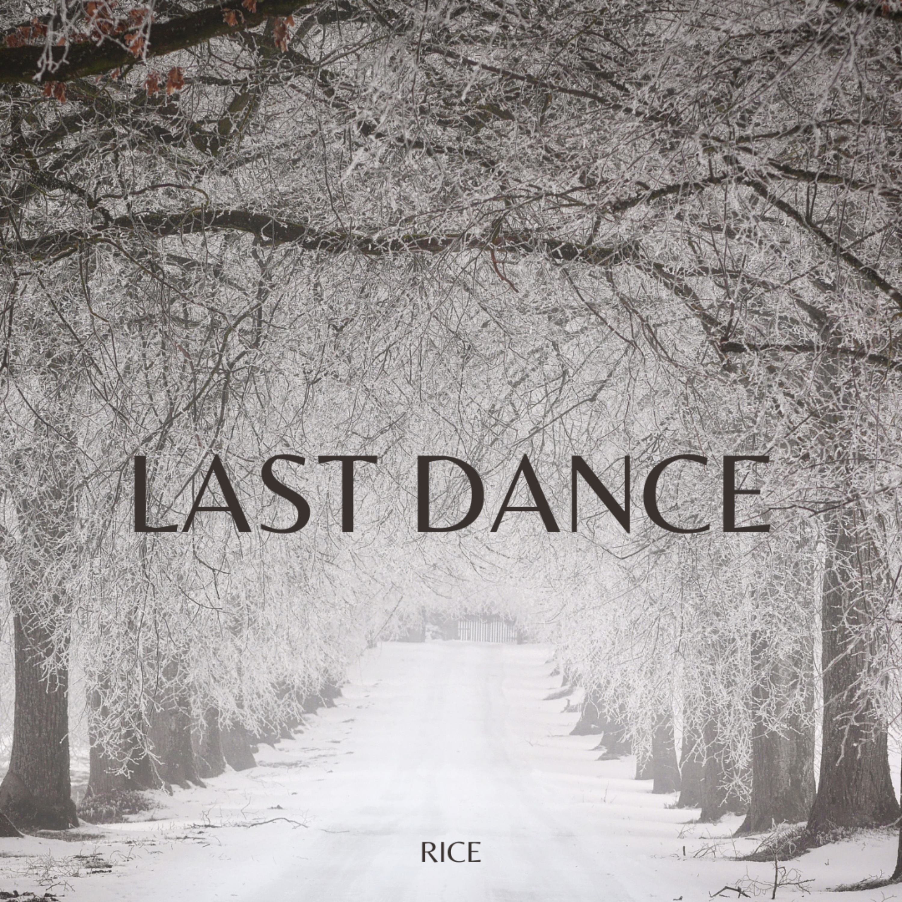 Last Dance artwork