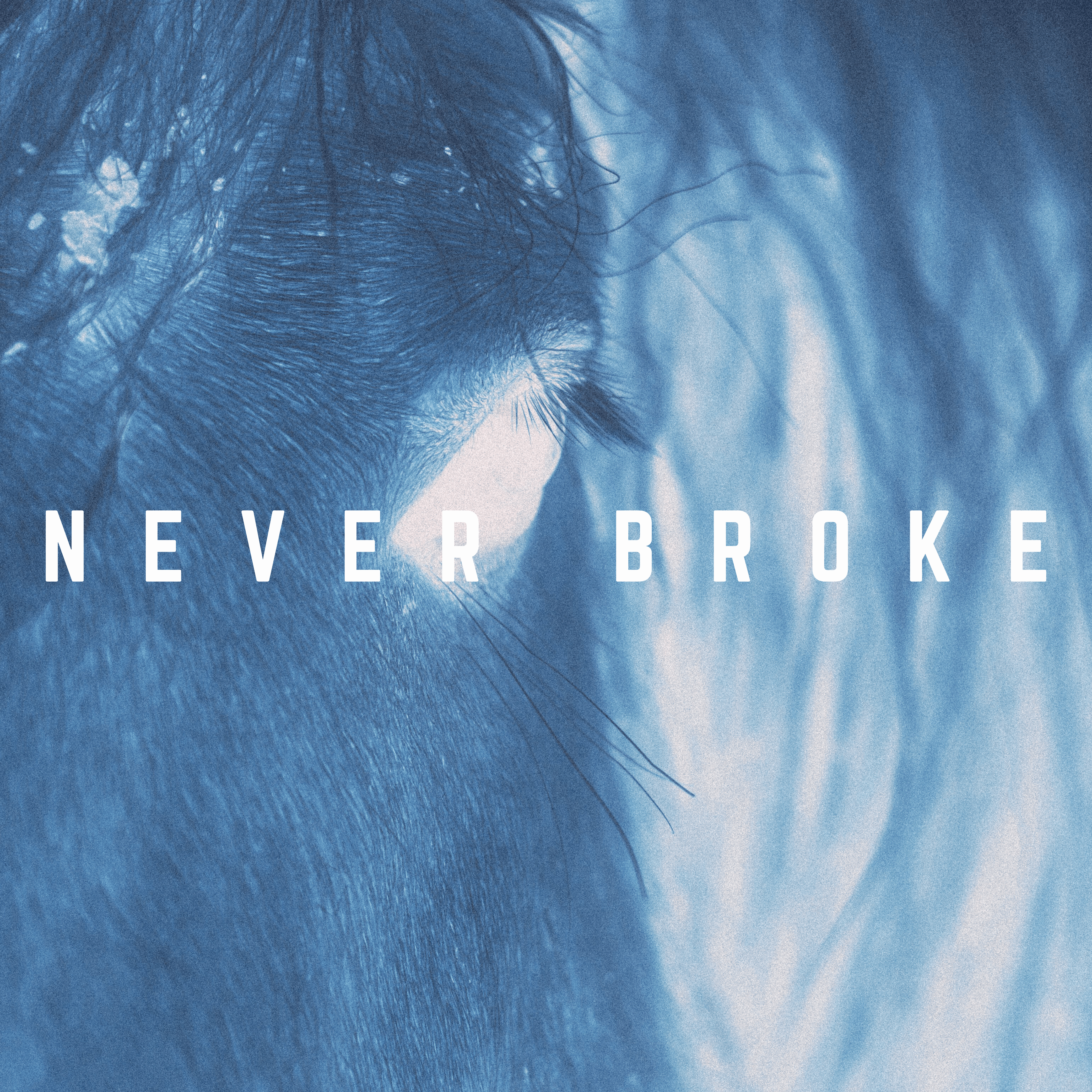Never Broke artwork