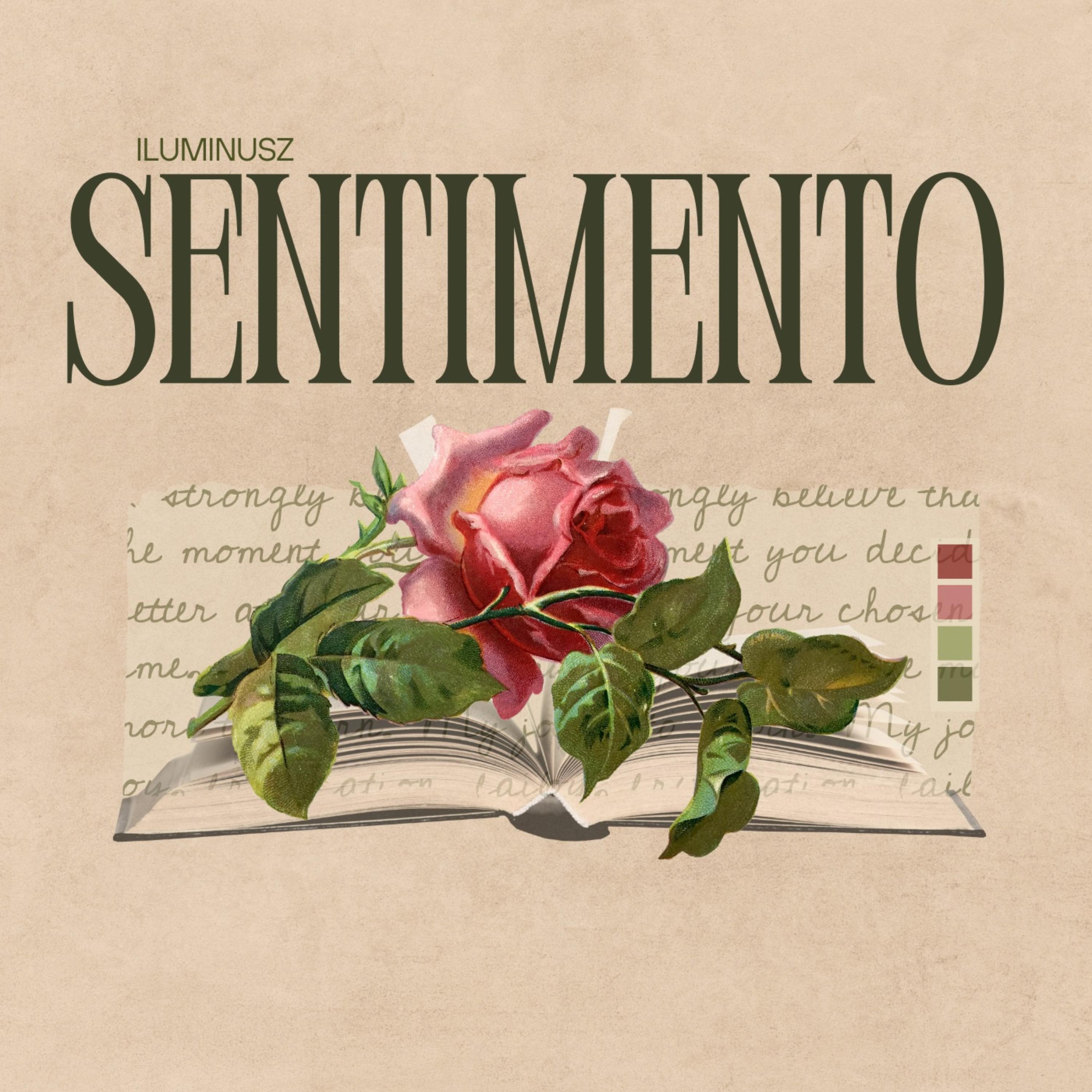 SENTIMENTO artwork