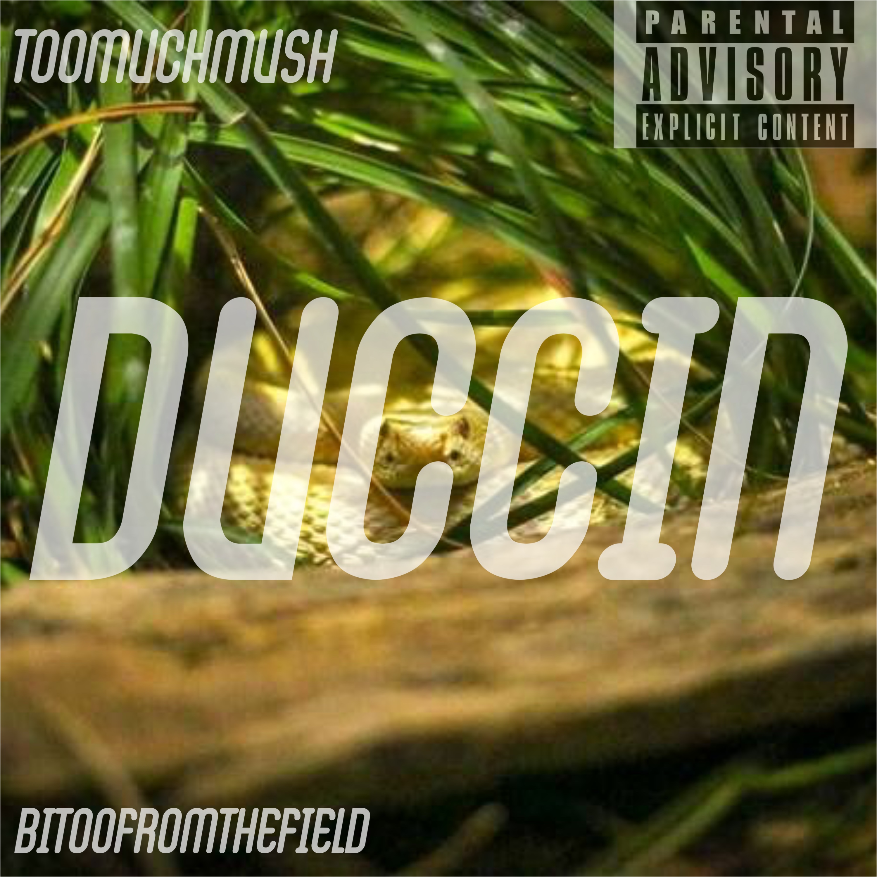 Duccin by TOOMUCHMUSH cover art