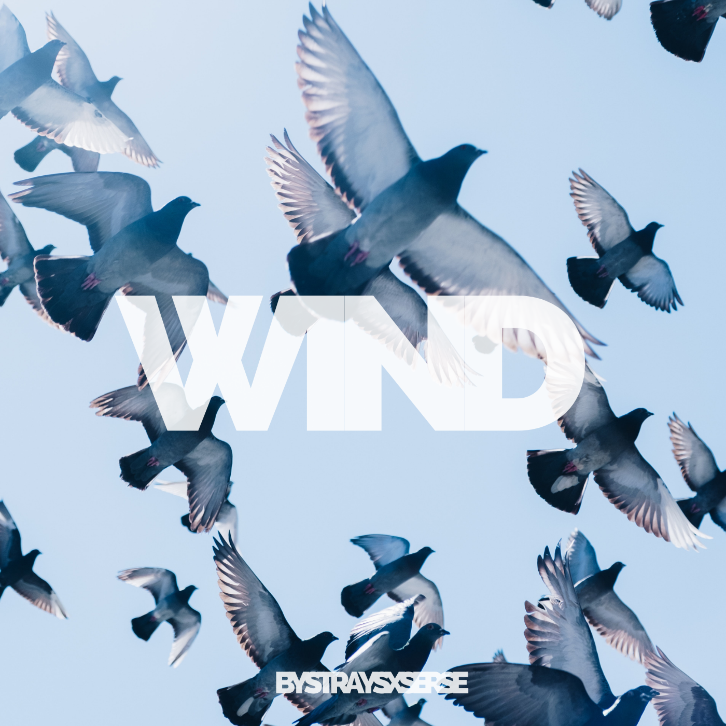 Wind by StrayXSerse cover art