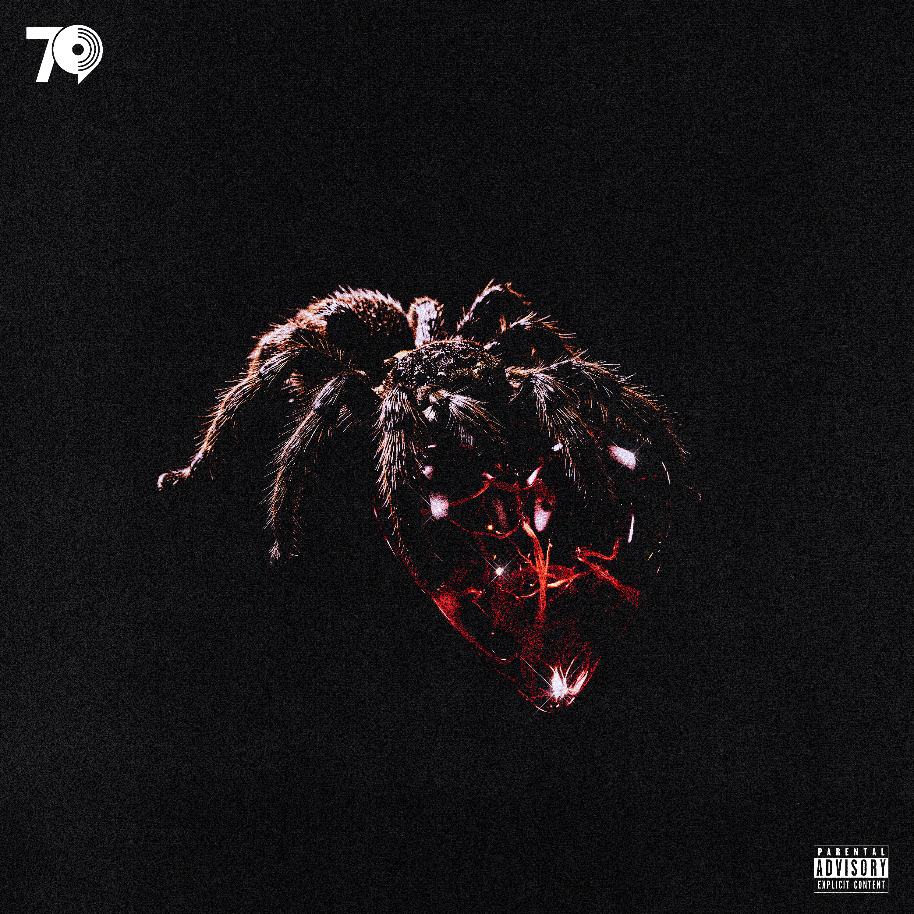 CONNECTION artwork