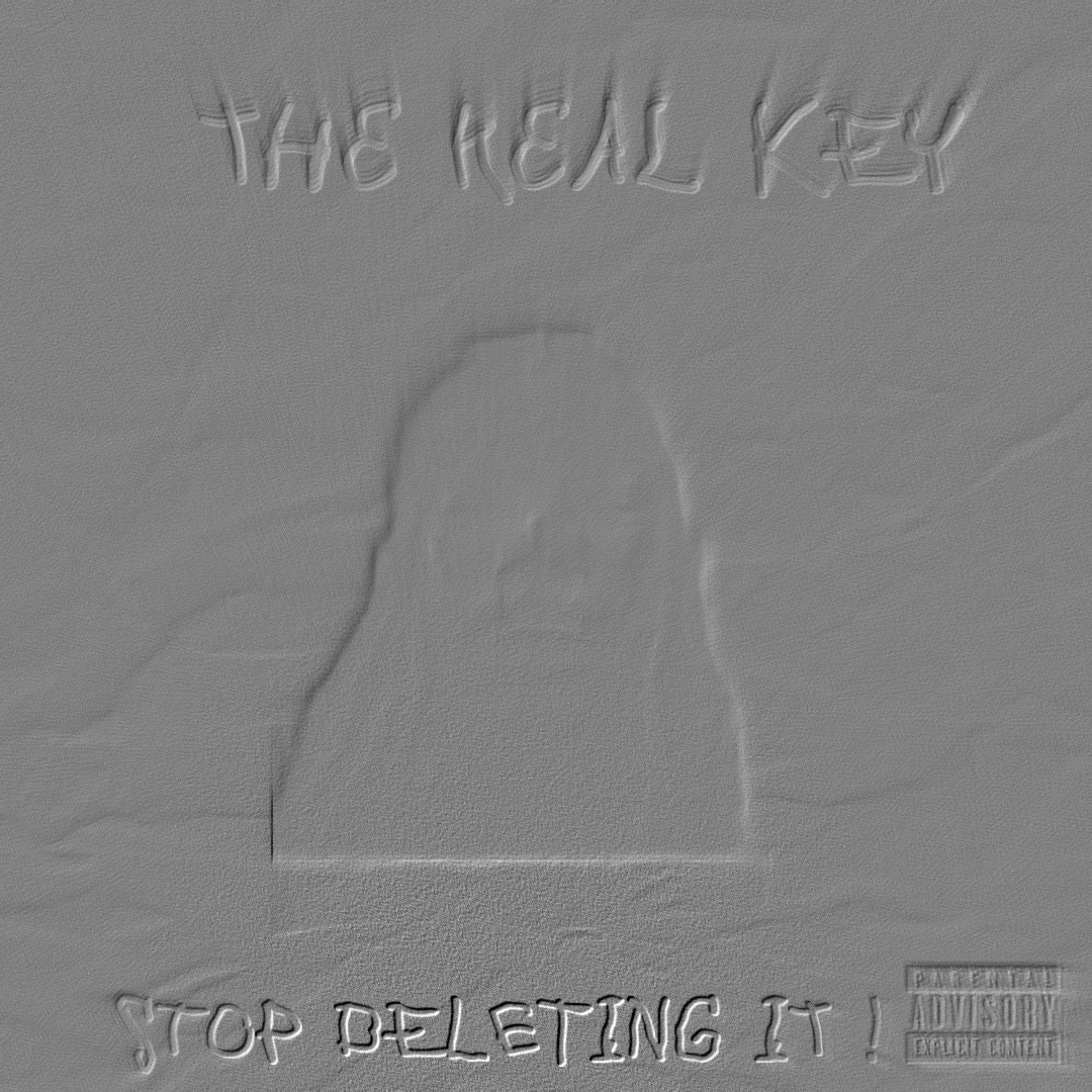 STOP DELETING IT ! by BUBBA TRUBBA cover art