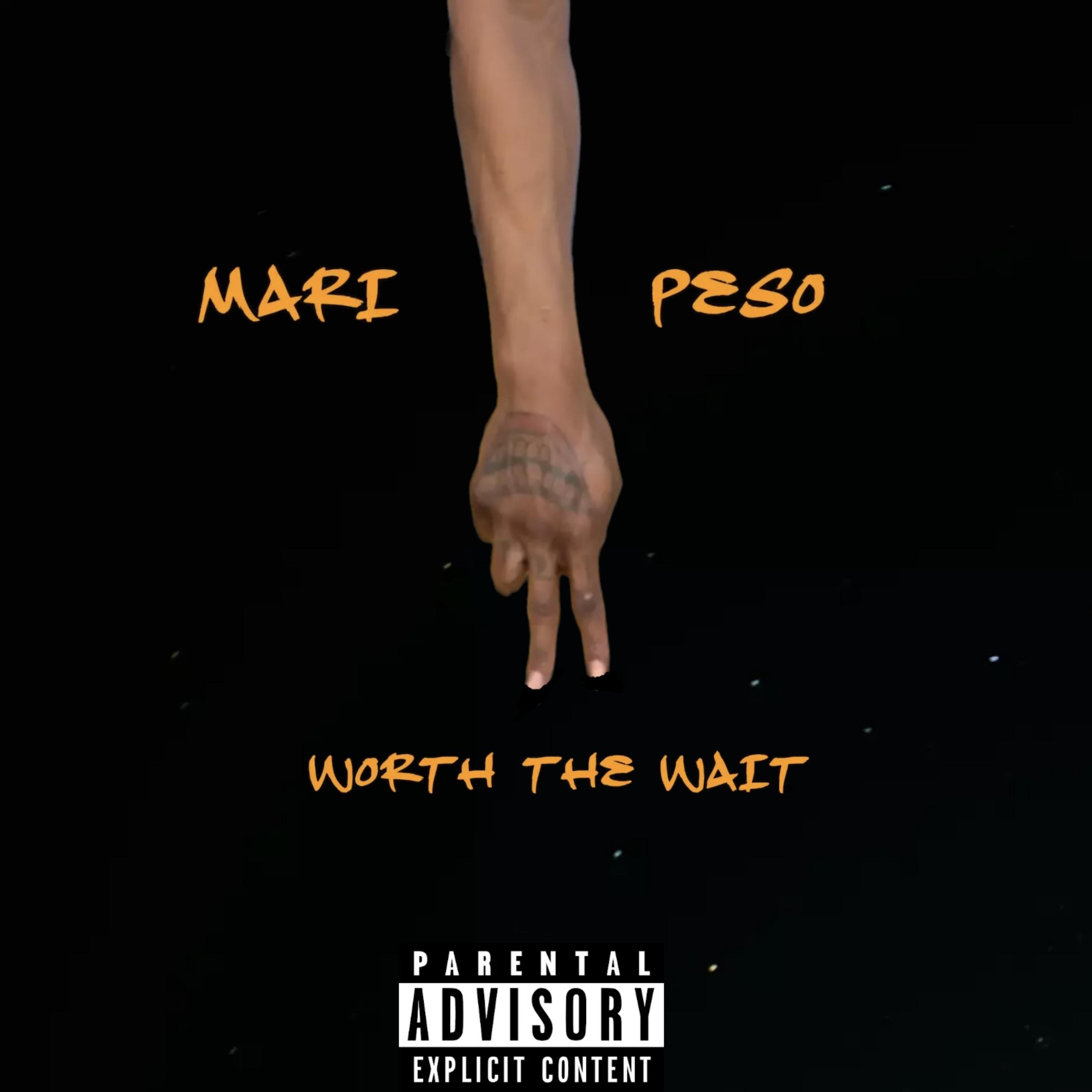 Worth The Wait 2 artwork