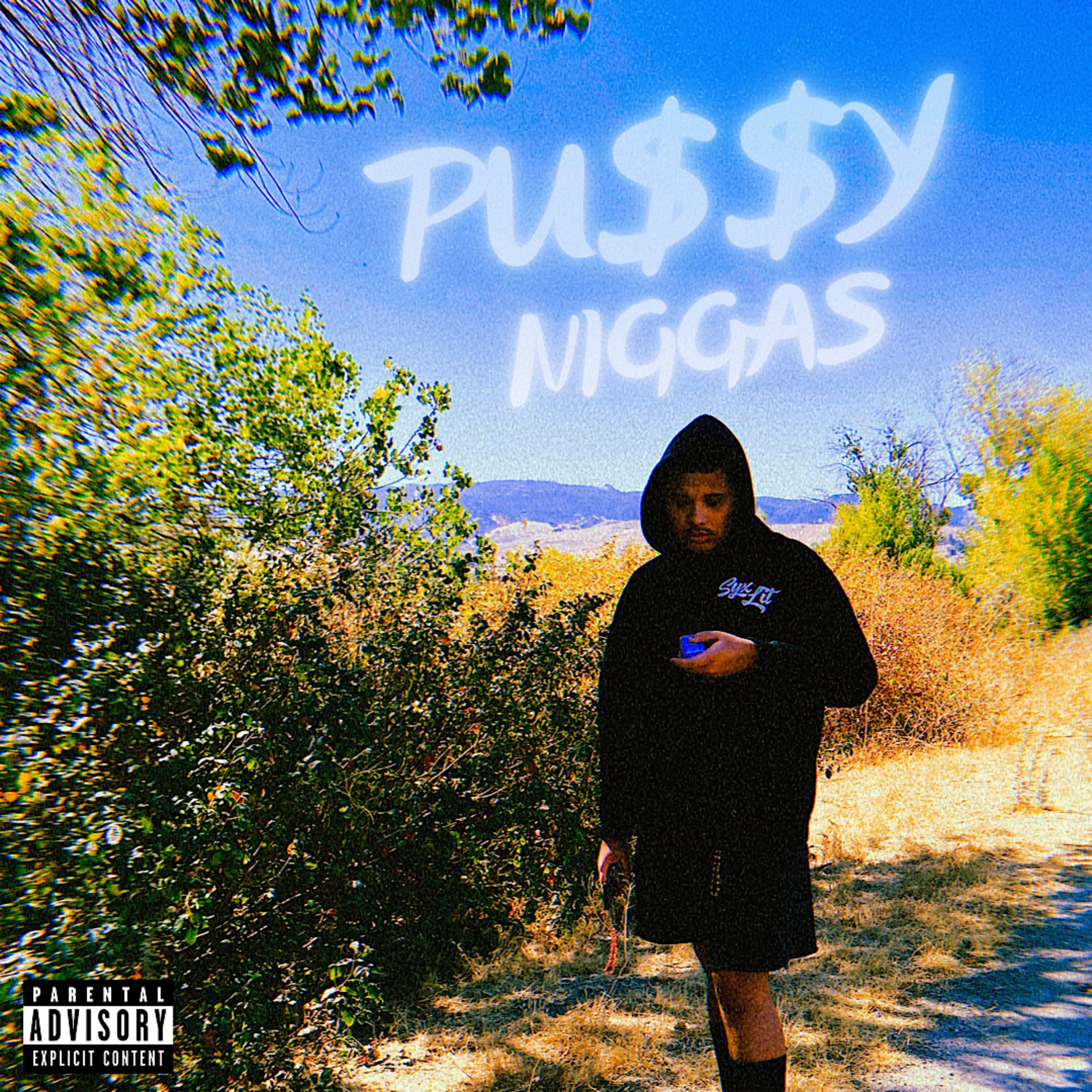 Pu$$y Niggas artwork
