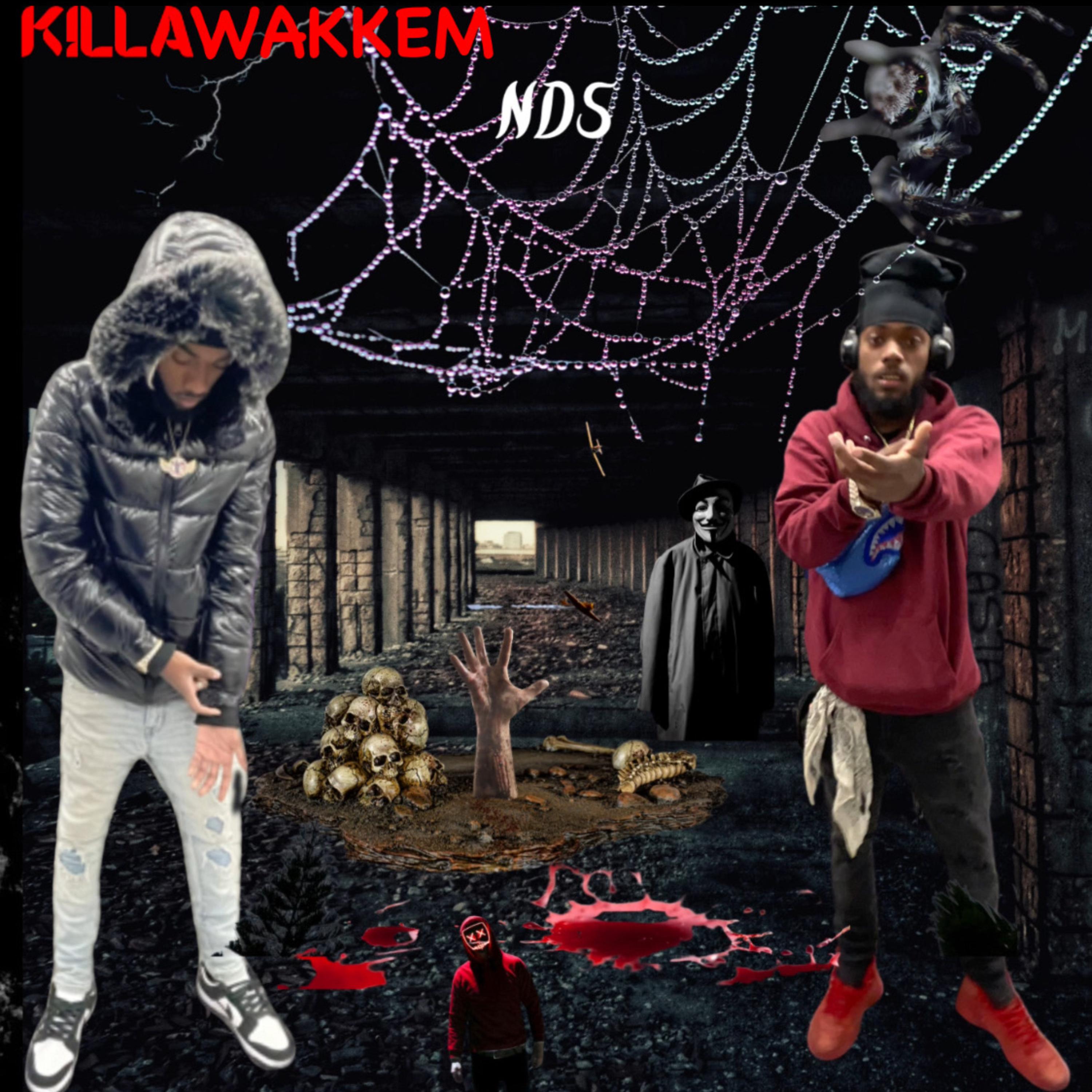 Neva Did Shii (NDS) artwork