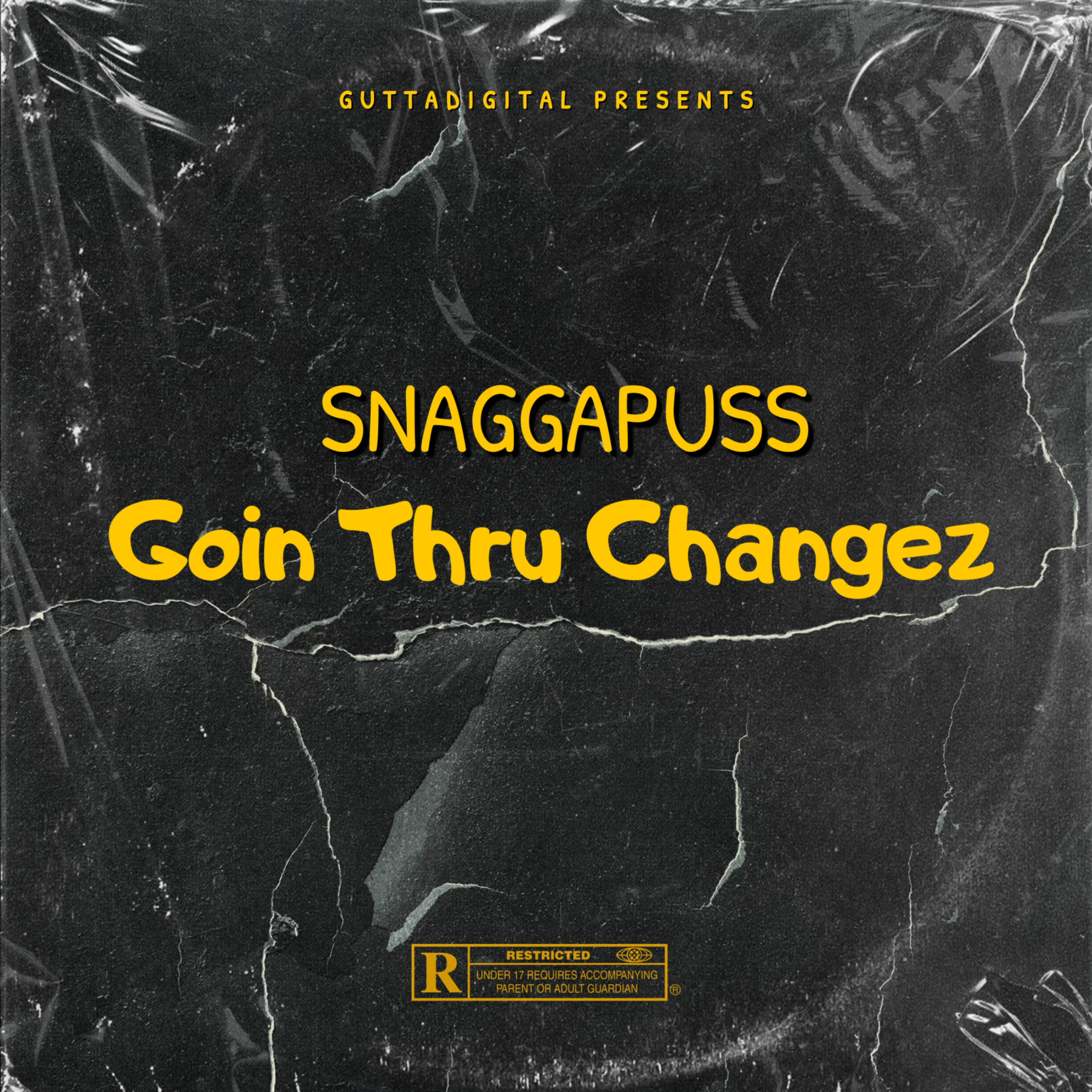 Goin Thru Changez artwork