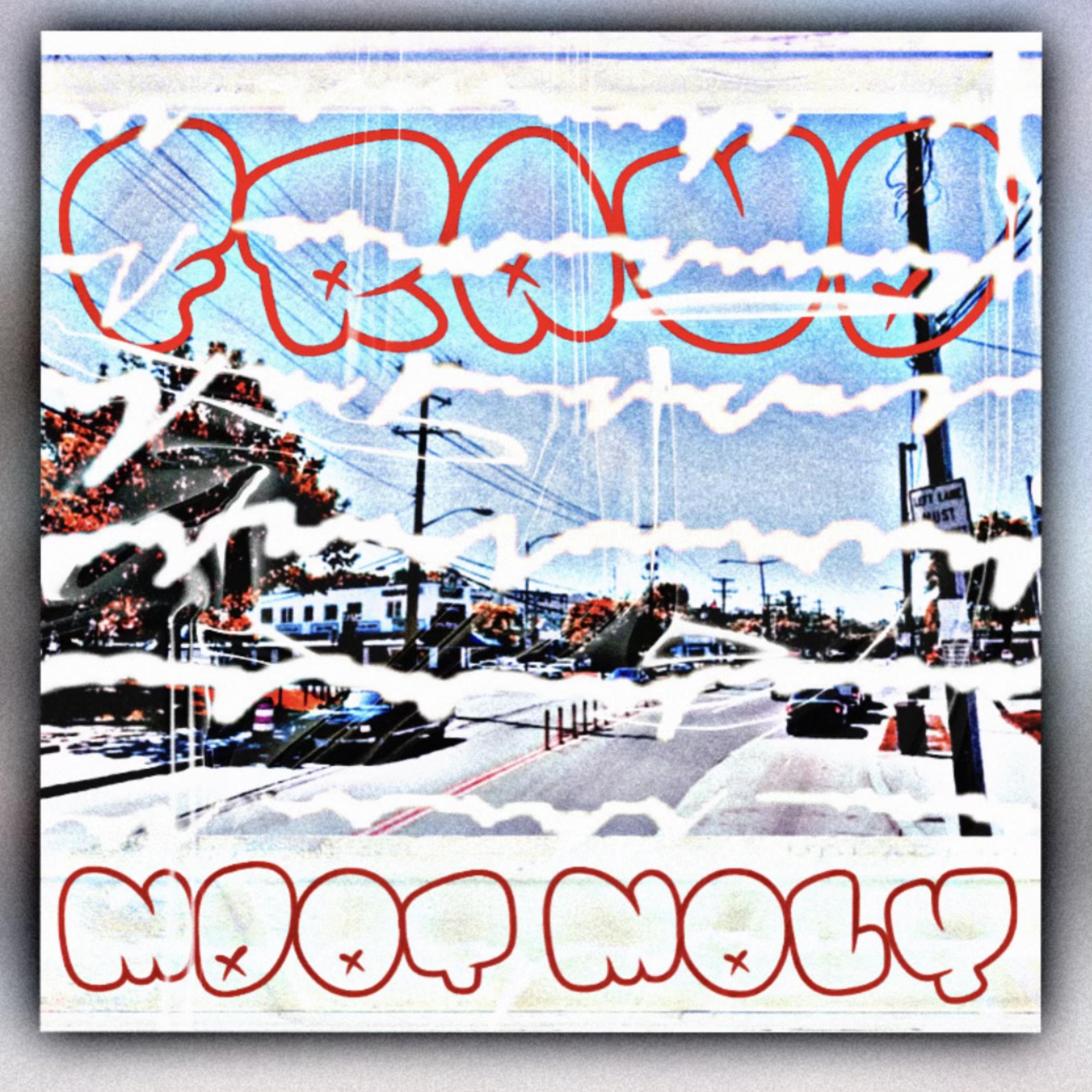 FRAUD artwork