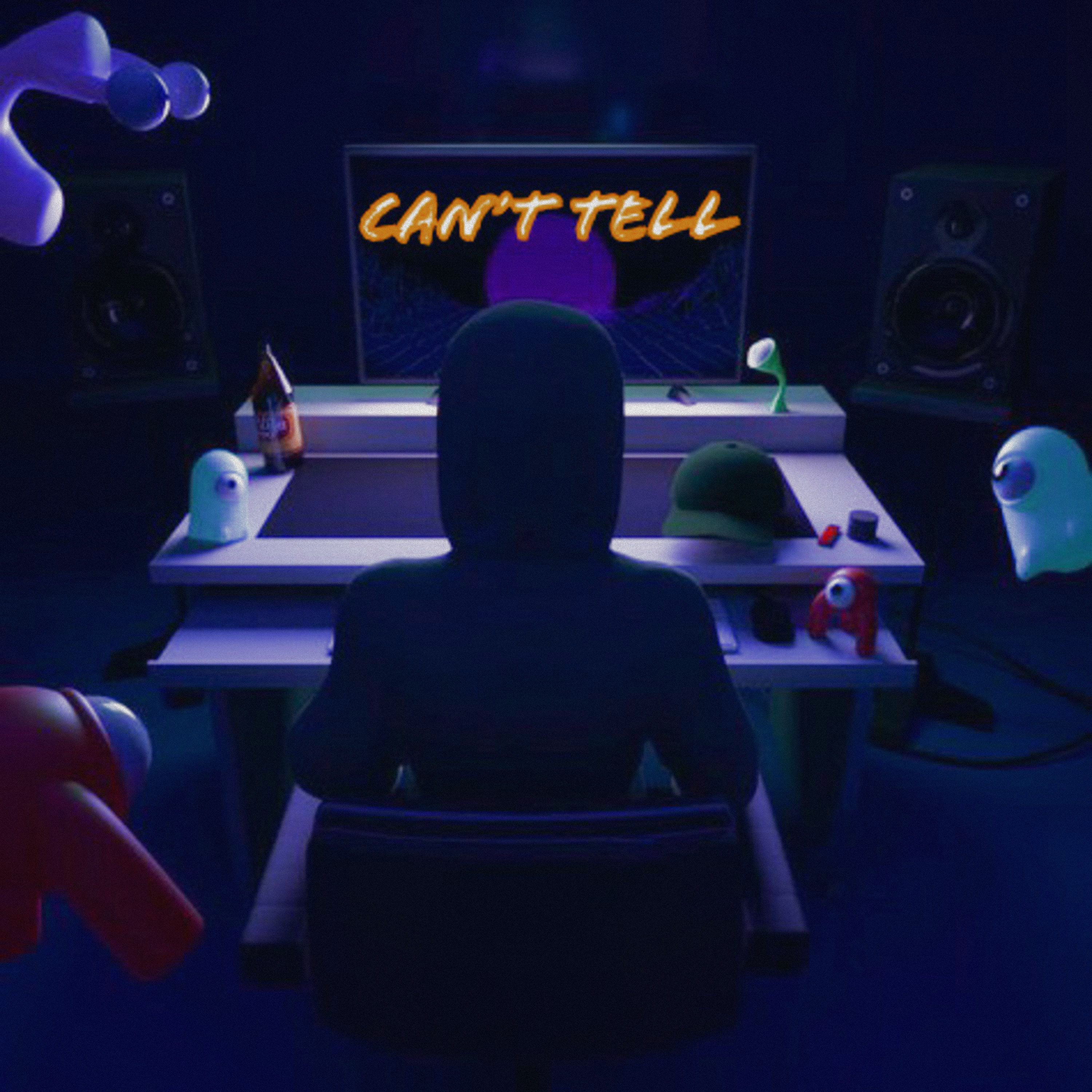 Cant Tell artwork