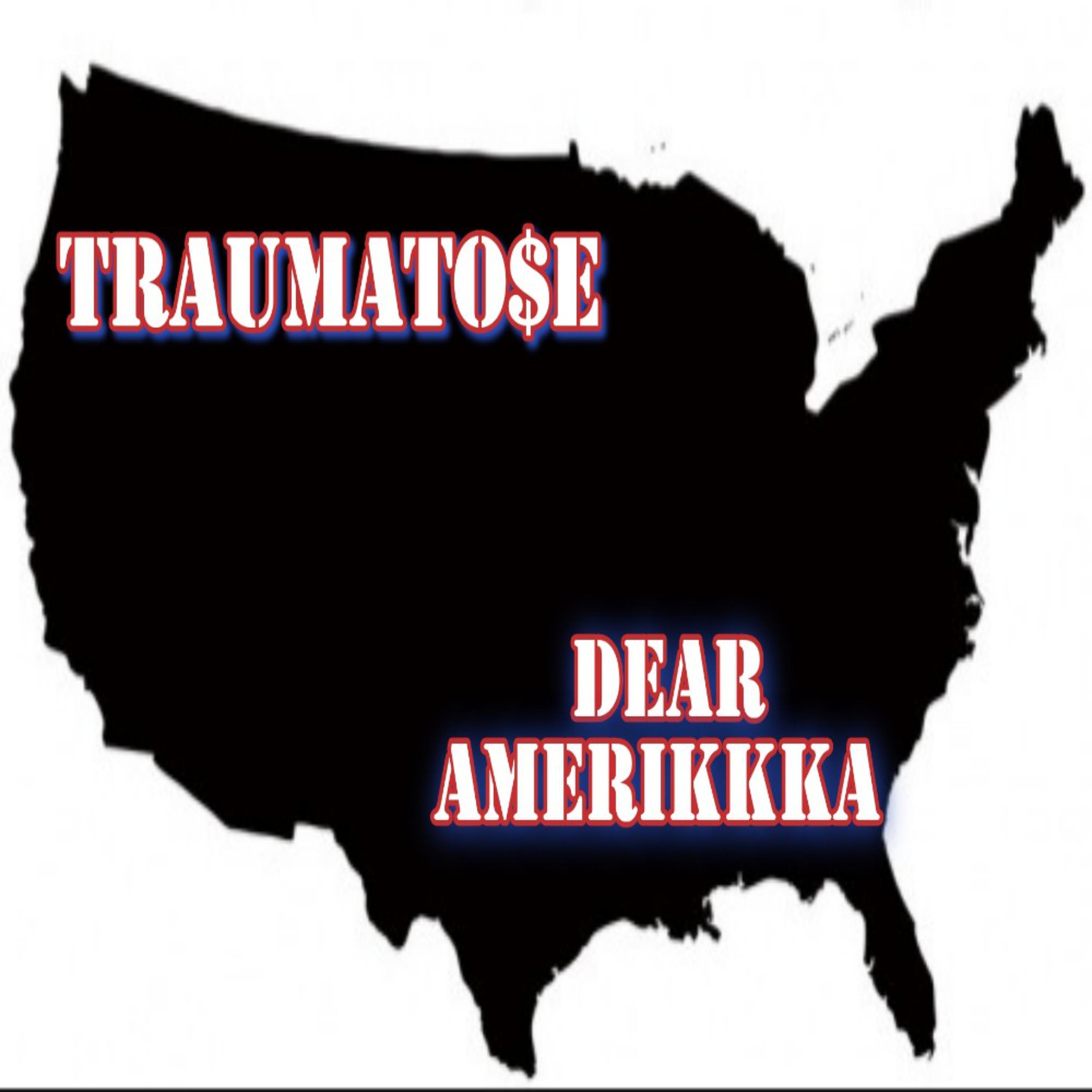 DEAR AMERIKKKA  artwork