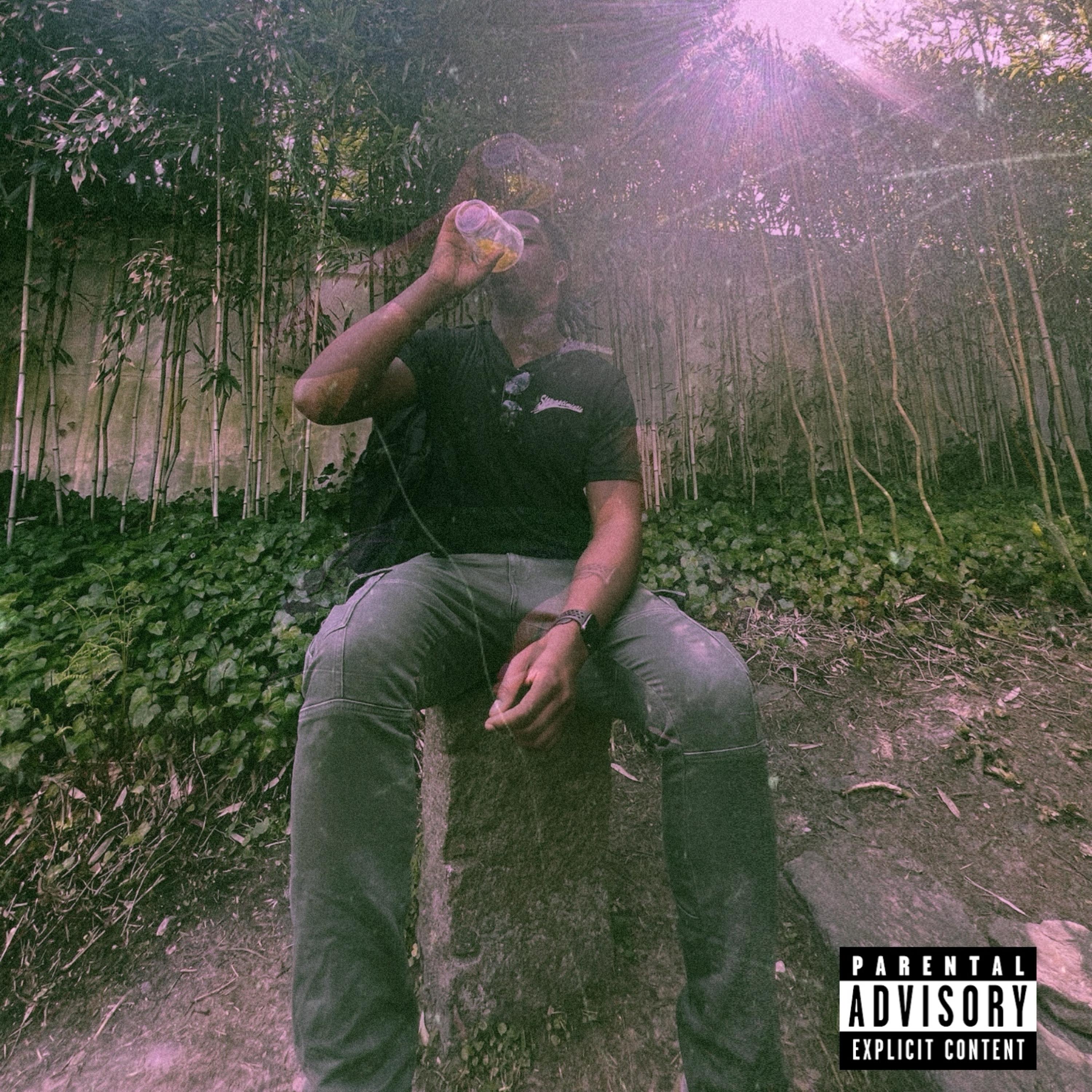 PRESHA artwork