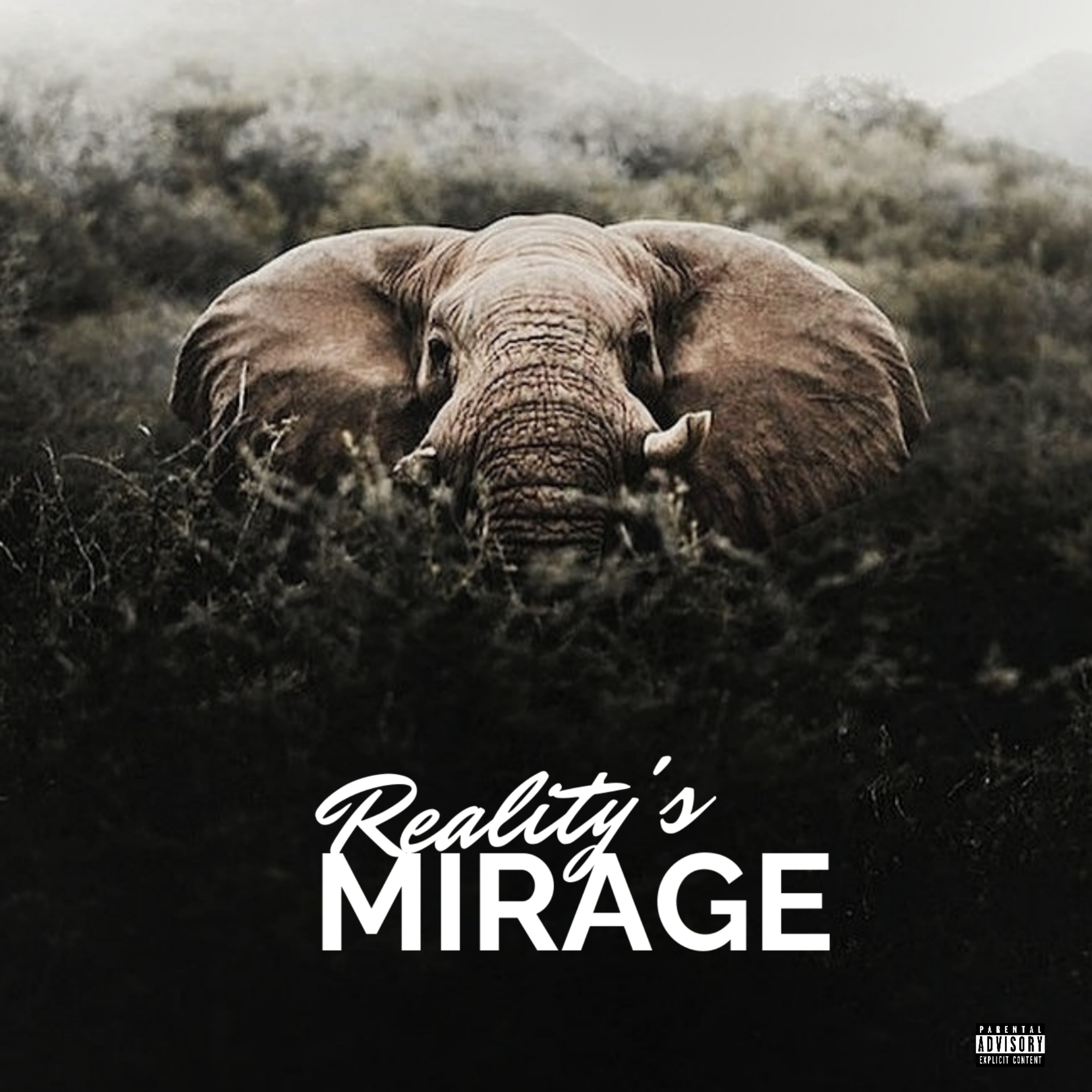 Reality's Mirage artwork