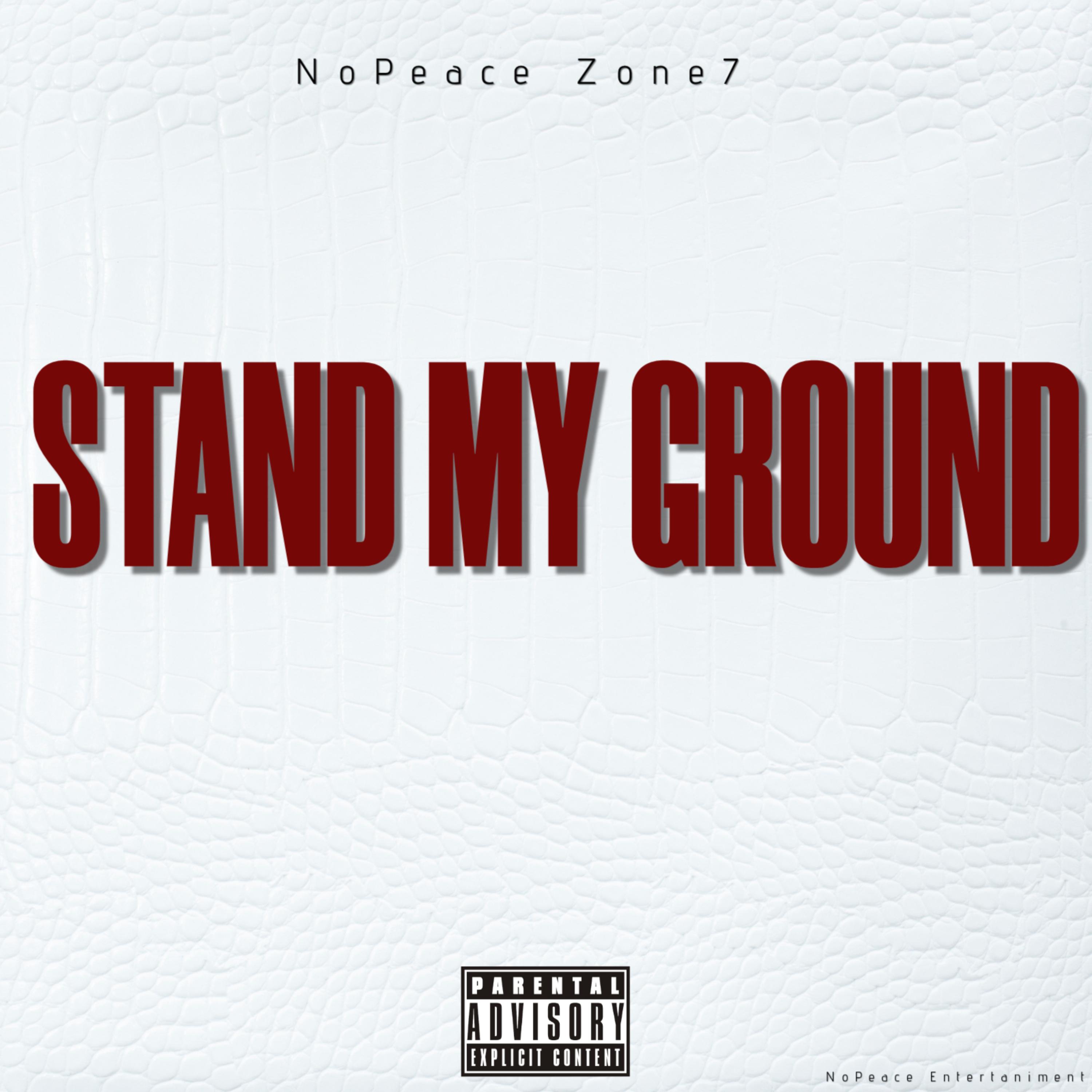 STAND MY GROUND artwork