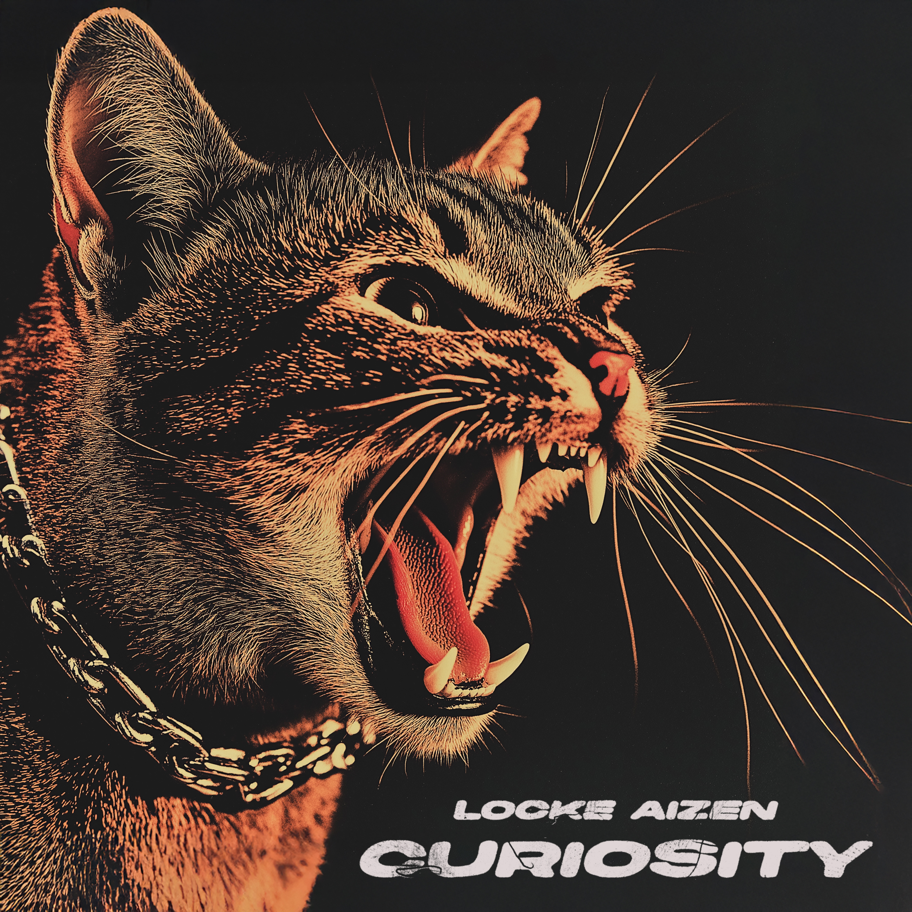 CURIOSITY artwork