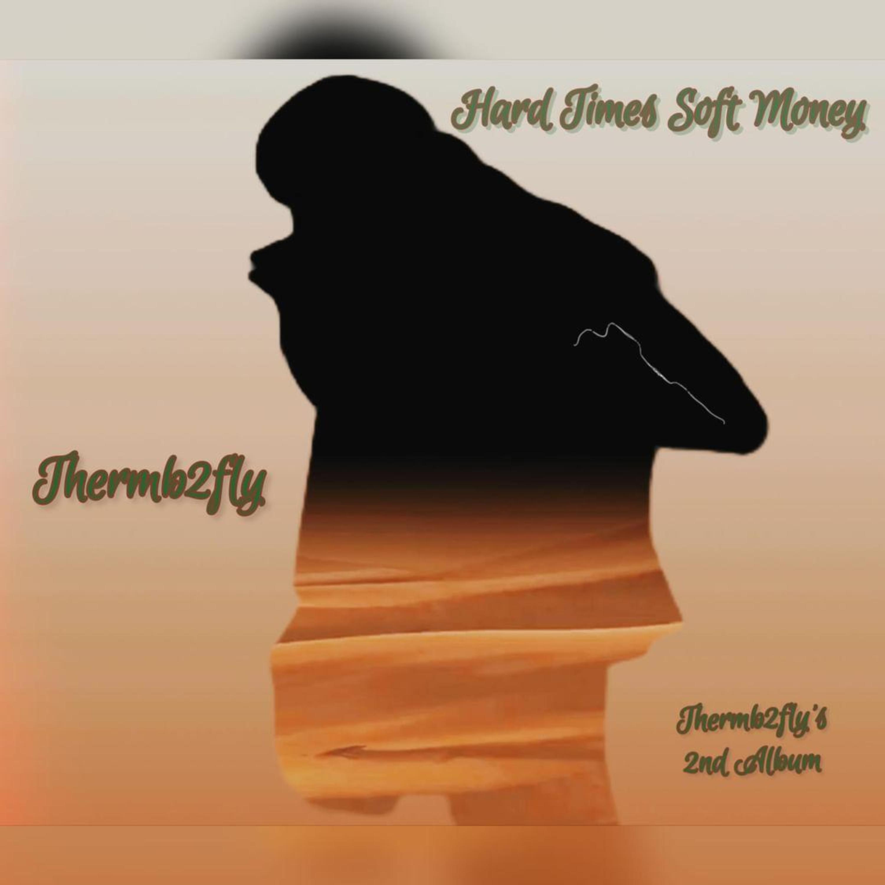 Hard Times Soft Money artwork