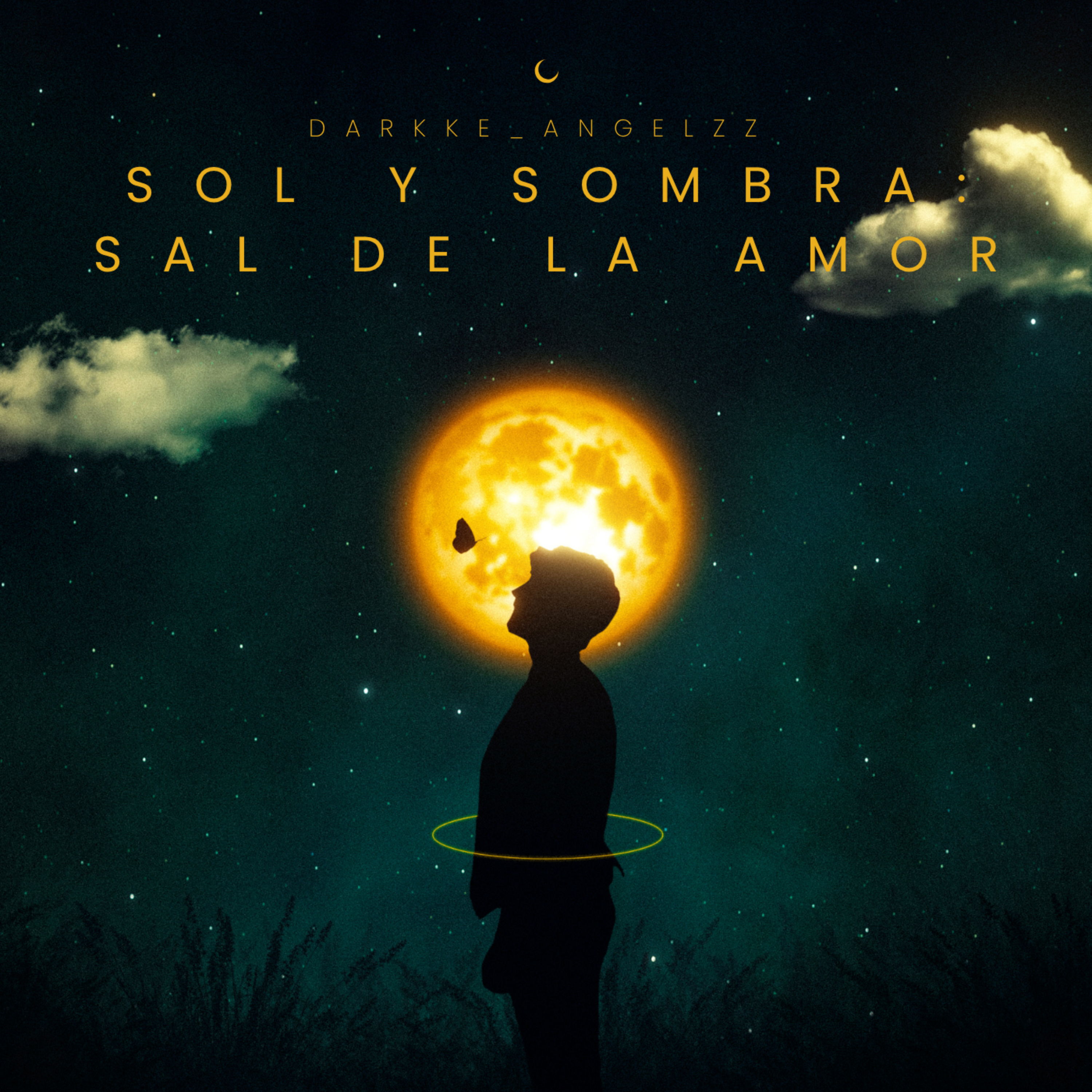 Sol y Sombra: Sal de la Amor artwork