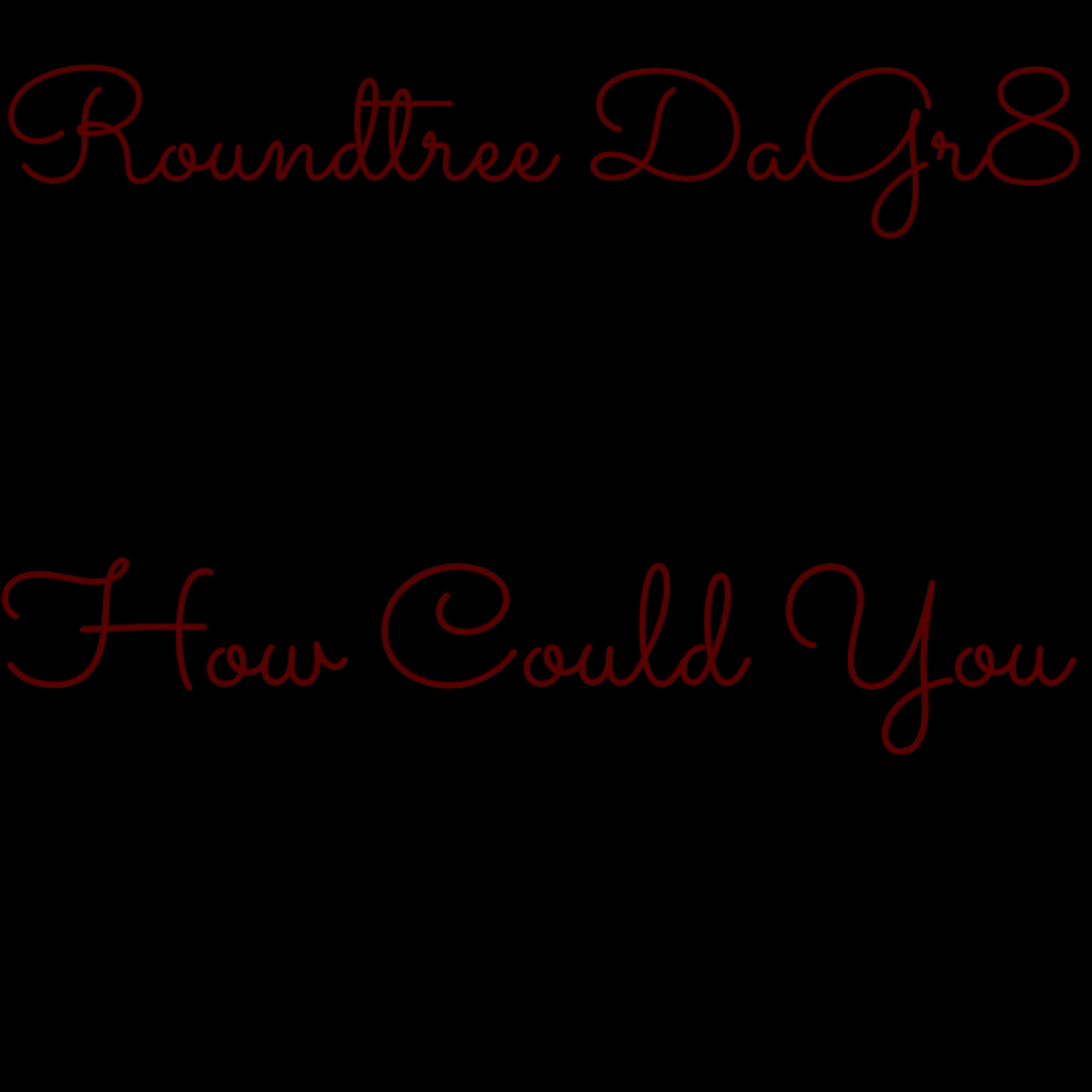 How Could You by Roundtree DaGr8 cover art