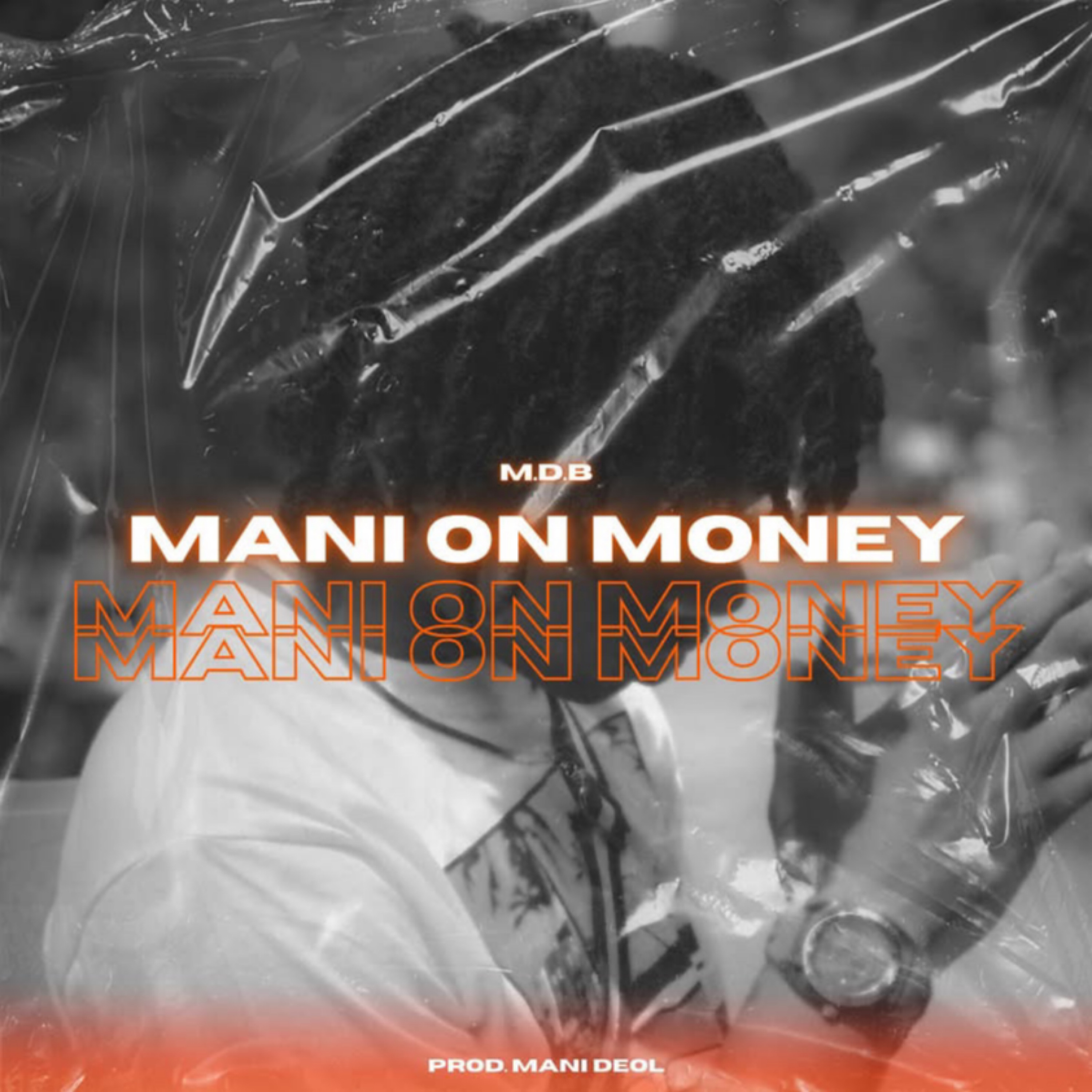 MANI ON MONEY: THA MIXTAPE artwork