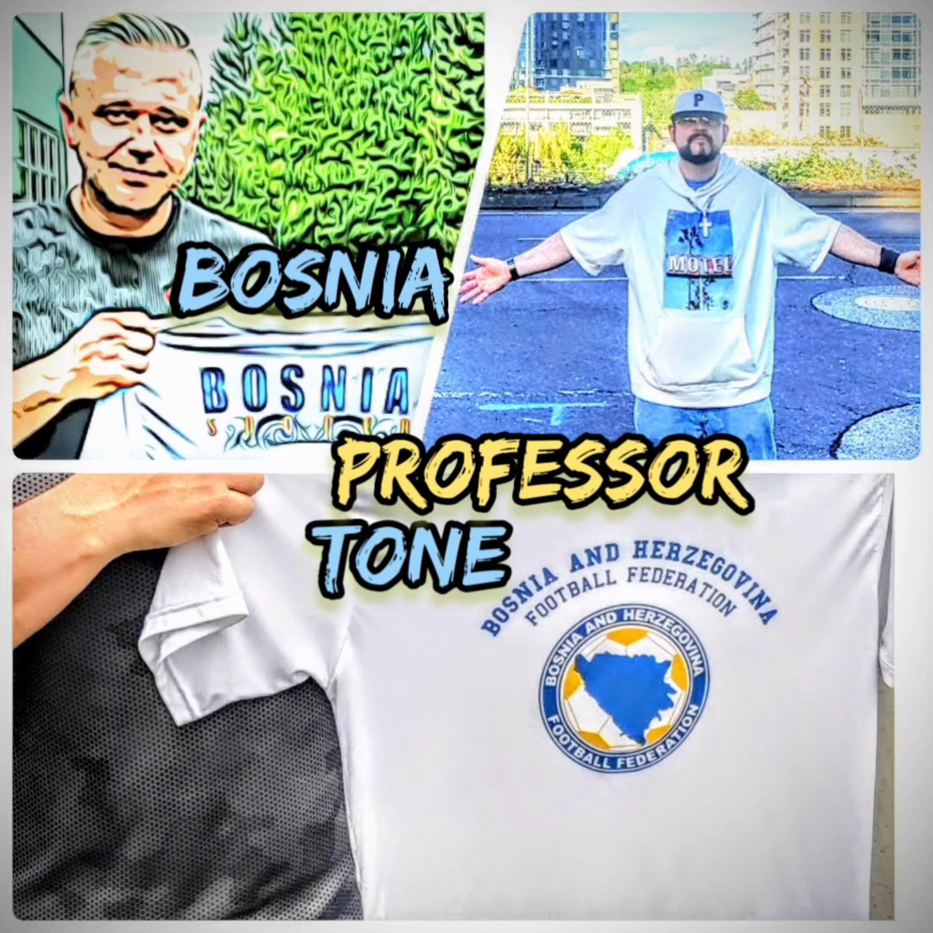 Bosnia artwork