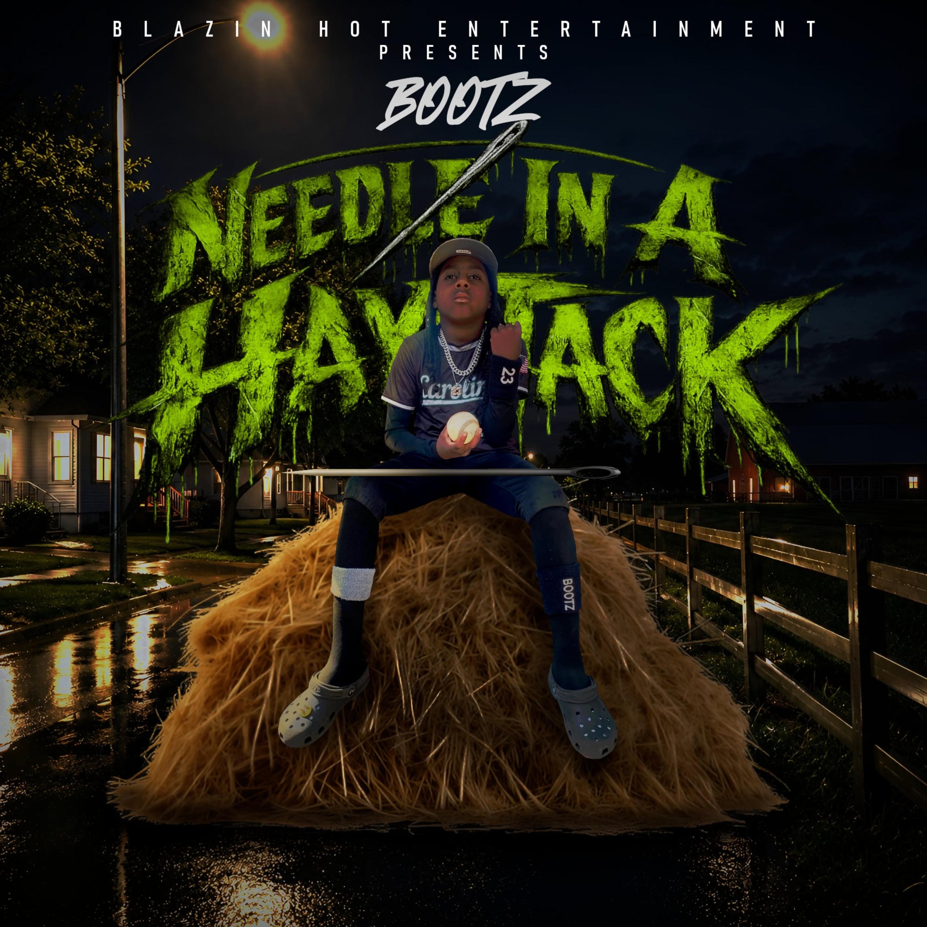 Needle In A Haystack by Bootz cover art