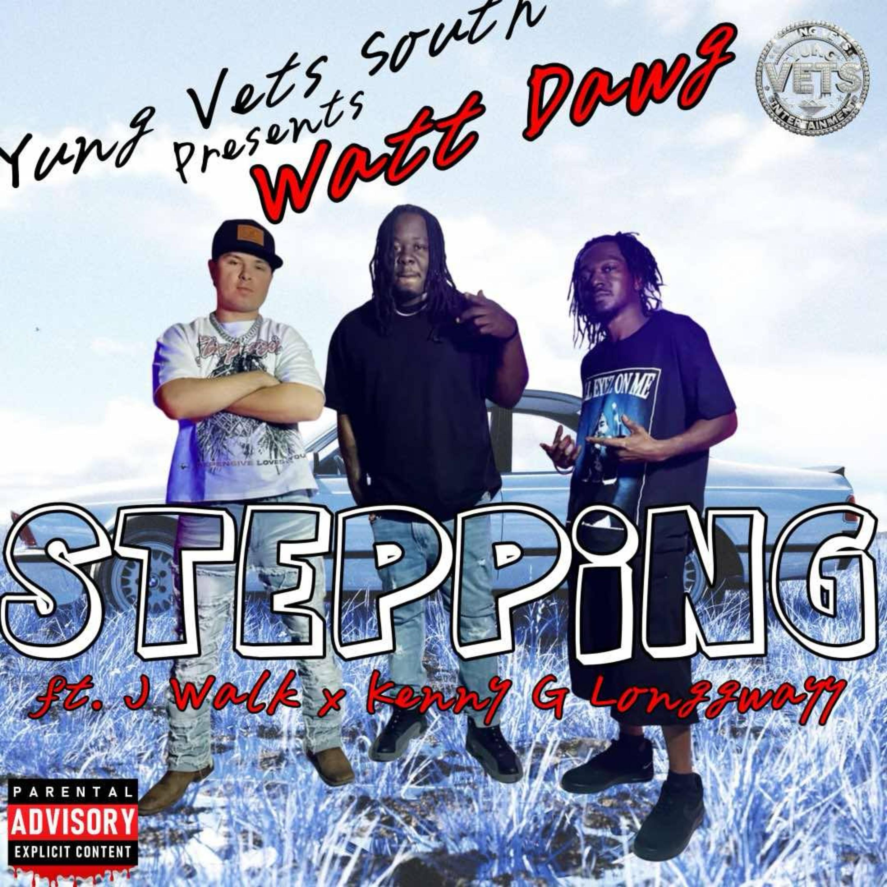 Stepping artwork