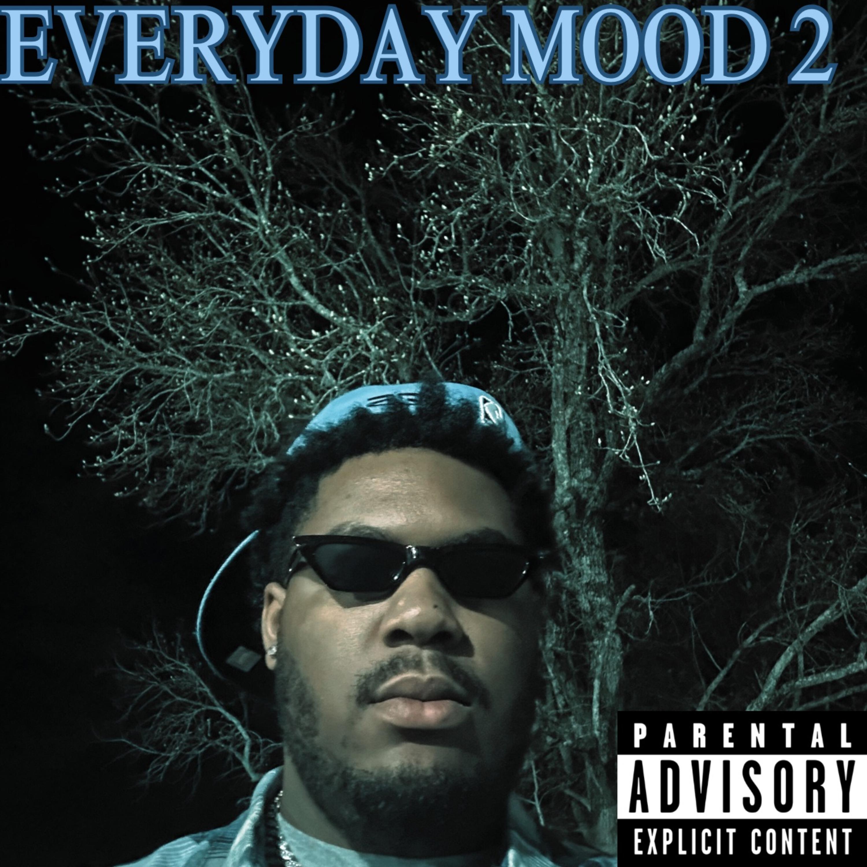 EVERYDAY MOOD 2 by Ignorant Ken cover art